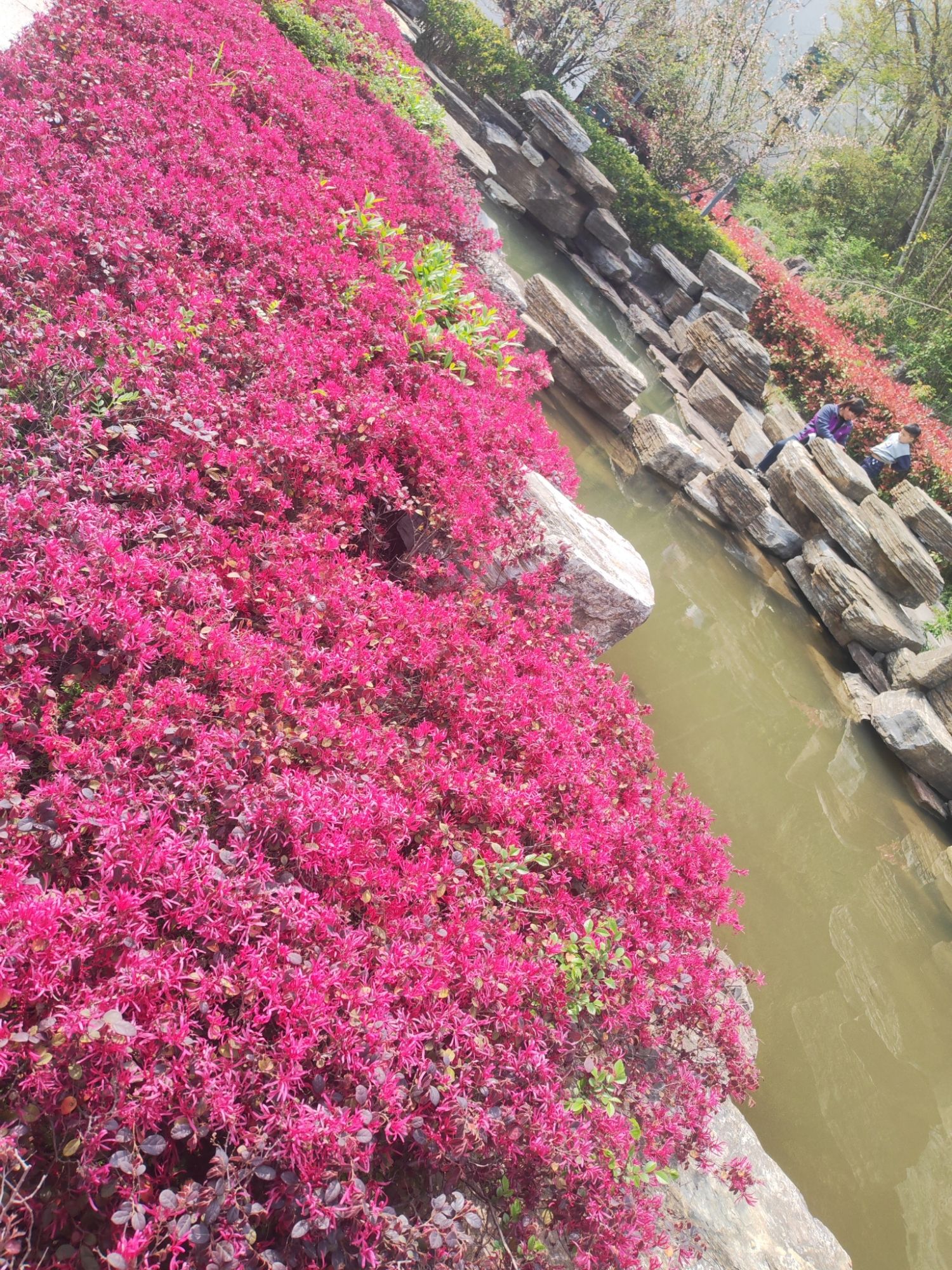 圣象广场旅行图片 2