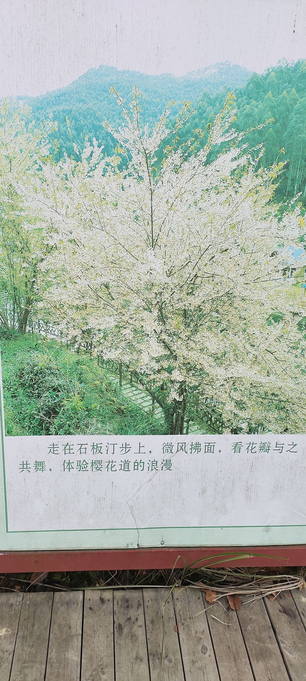 安溪石镜山风景区旅行图片 3
