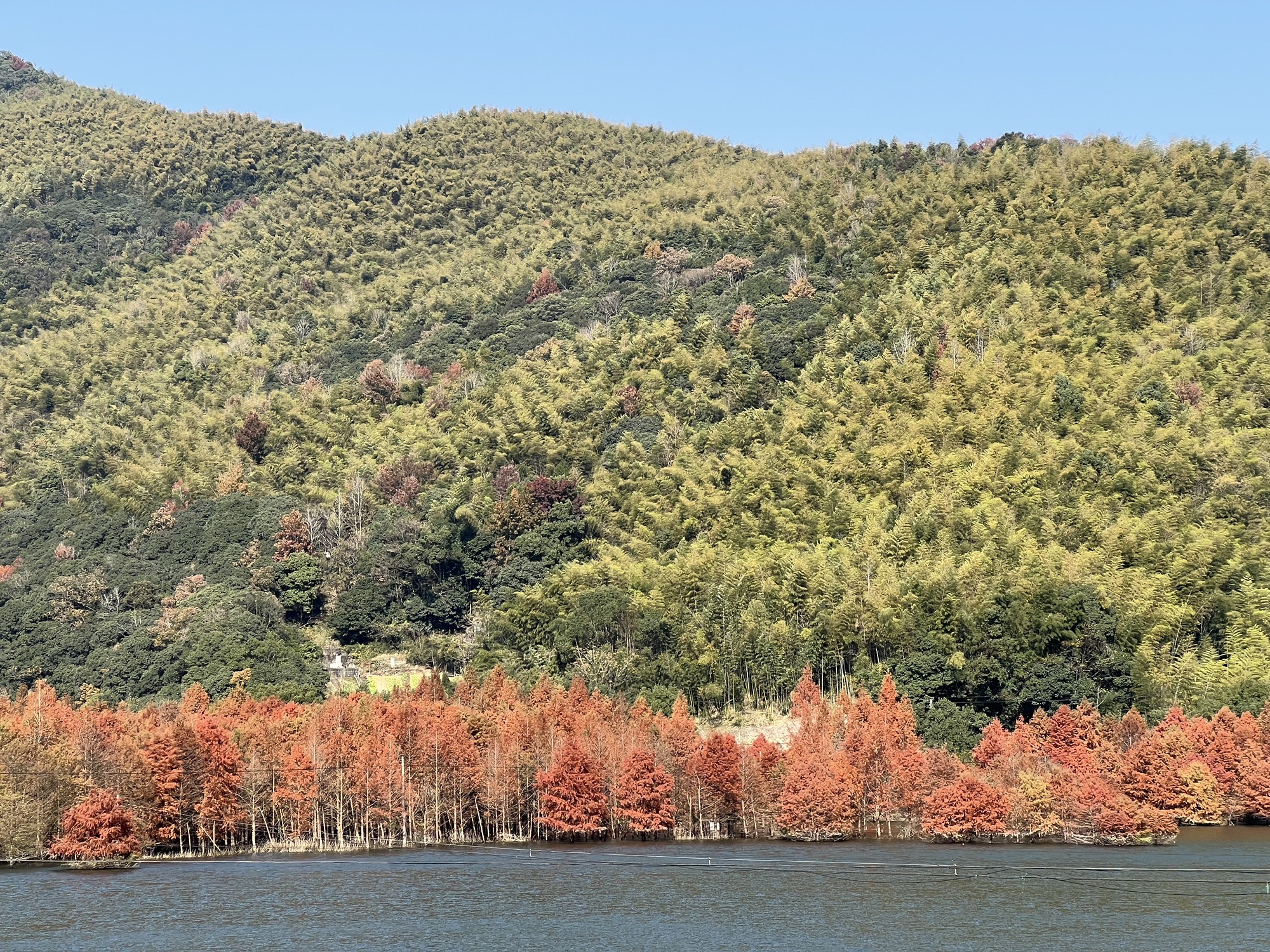堇山湖旅行图片 1