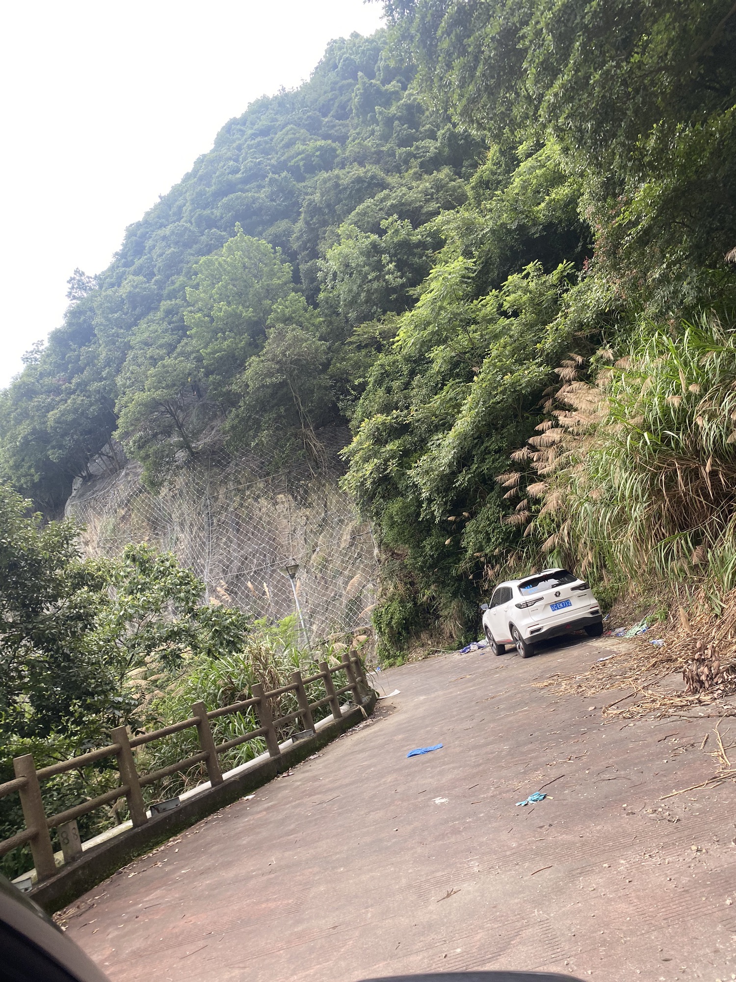 堇山湖旅行图片 3