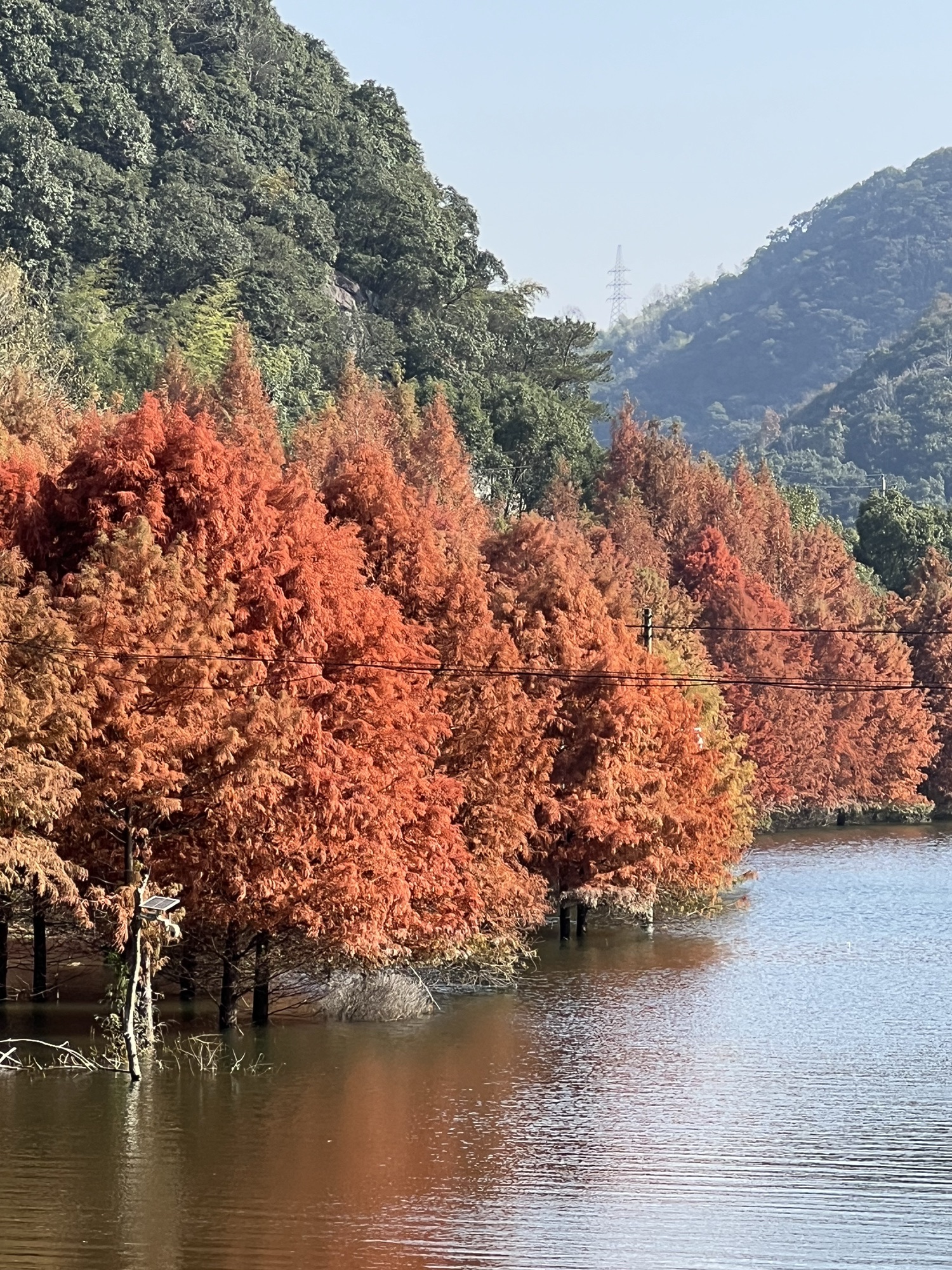 堇山湖旅行图片 3