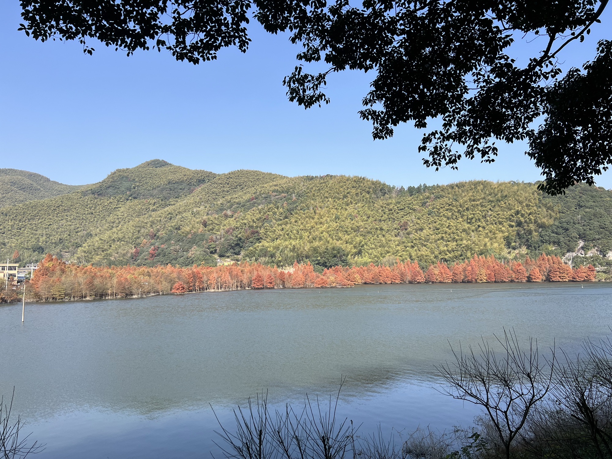 堇山湖旅行图片 2