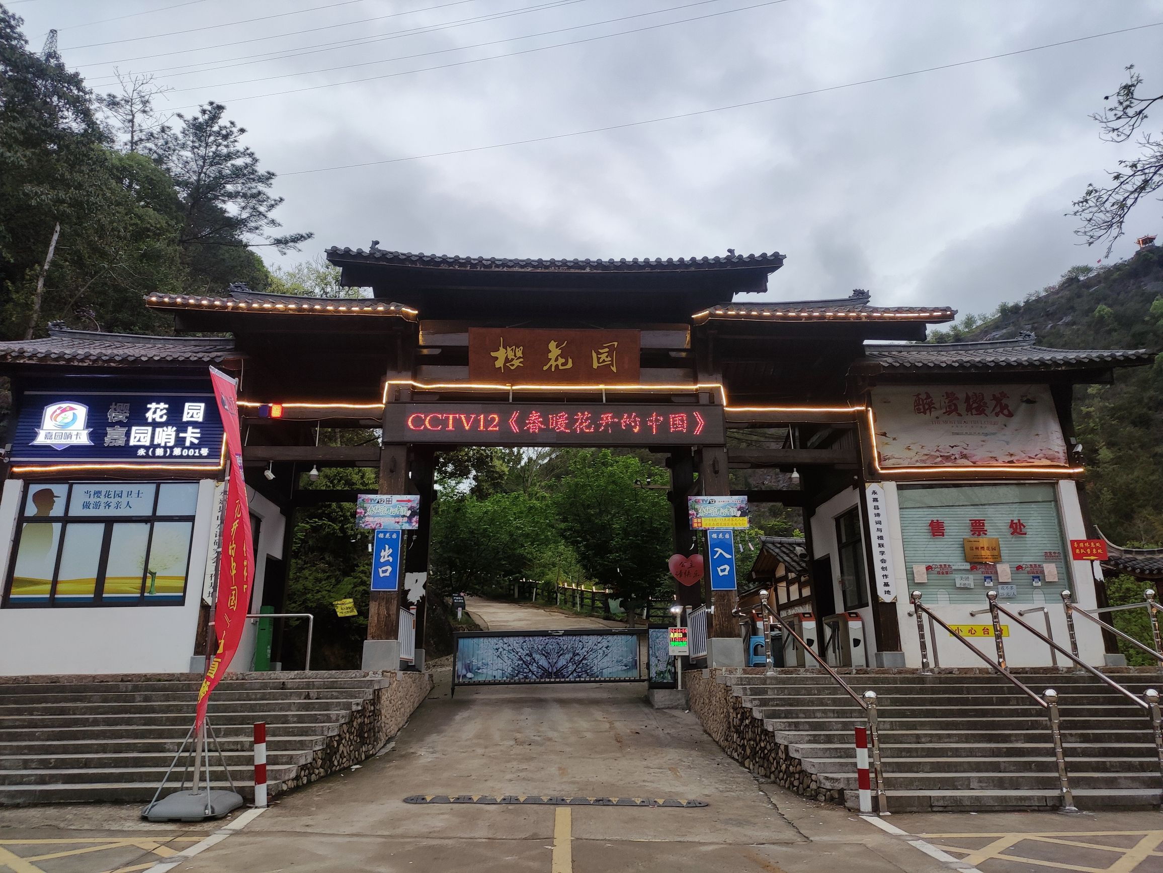 温州樱花园旅行图片 1