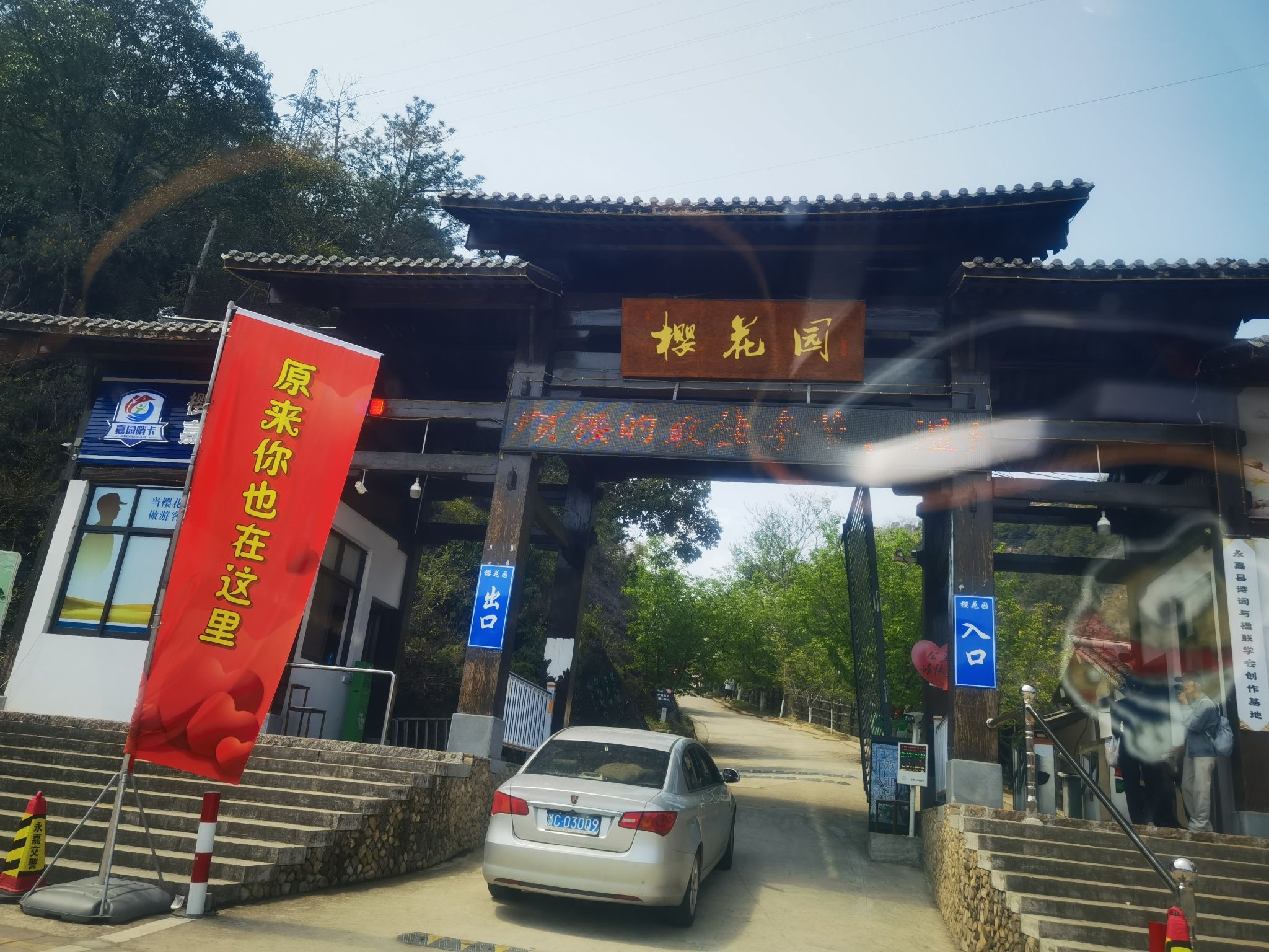 温州樱花园旅行图片 1