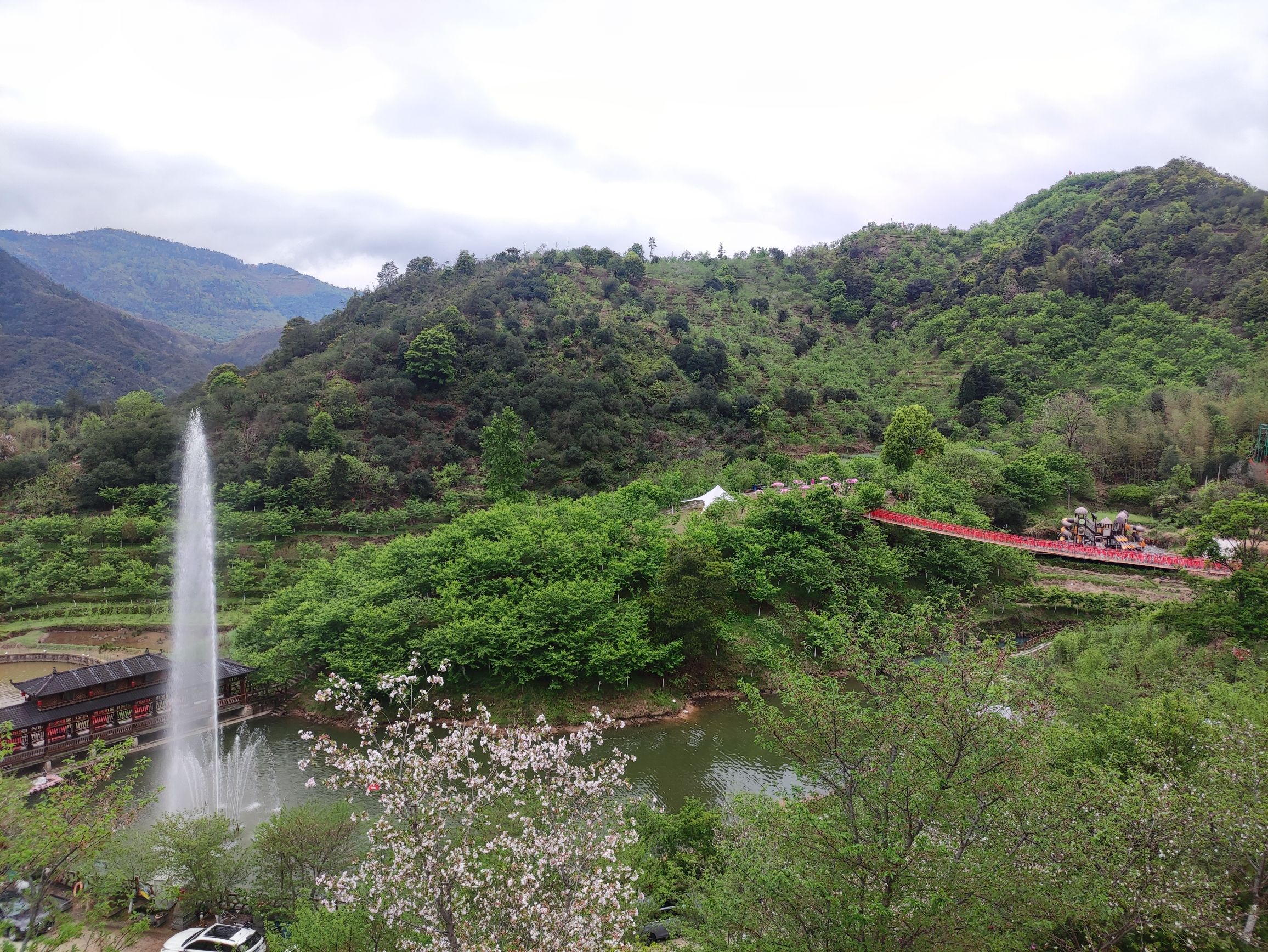 温州樱花园旅行图片 2