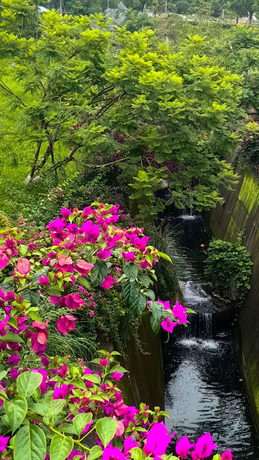 滨江湿地公园旅行图片 2