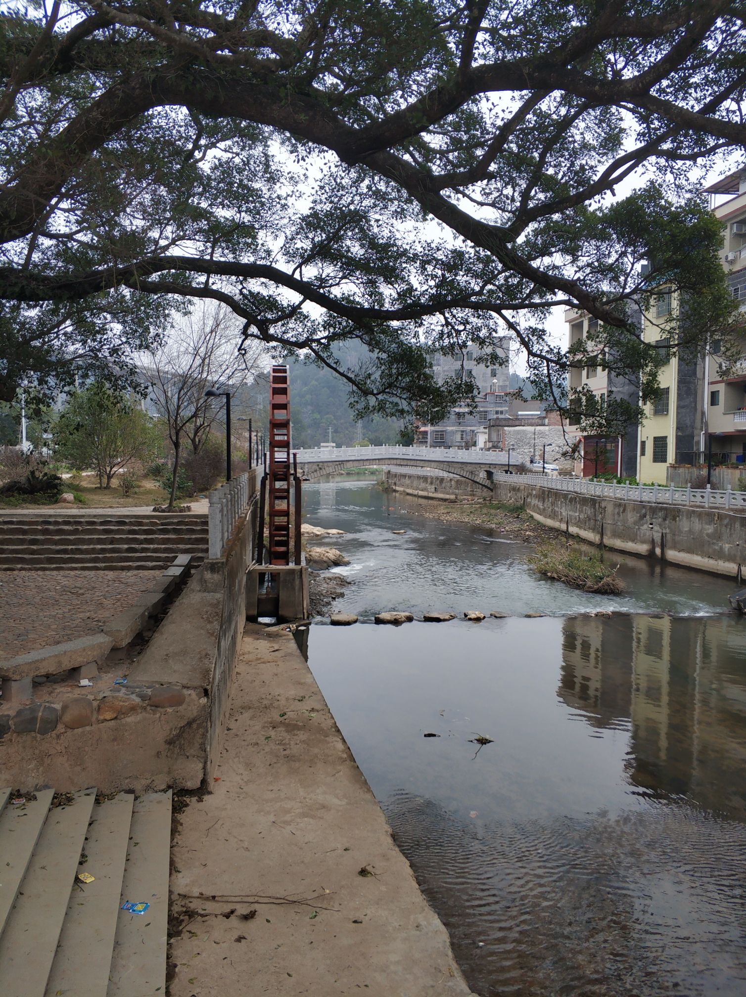 清林水乡旅行图片 1