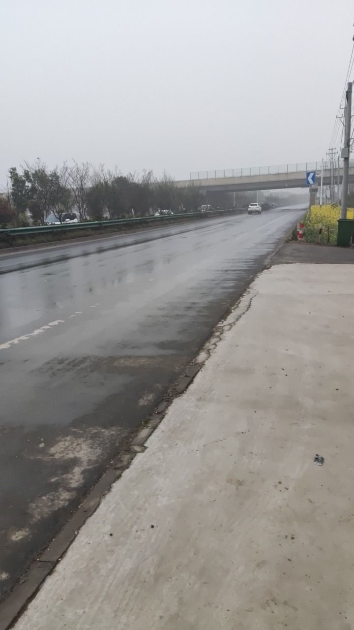 槐花村公园旅行图片 1