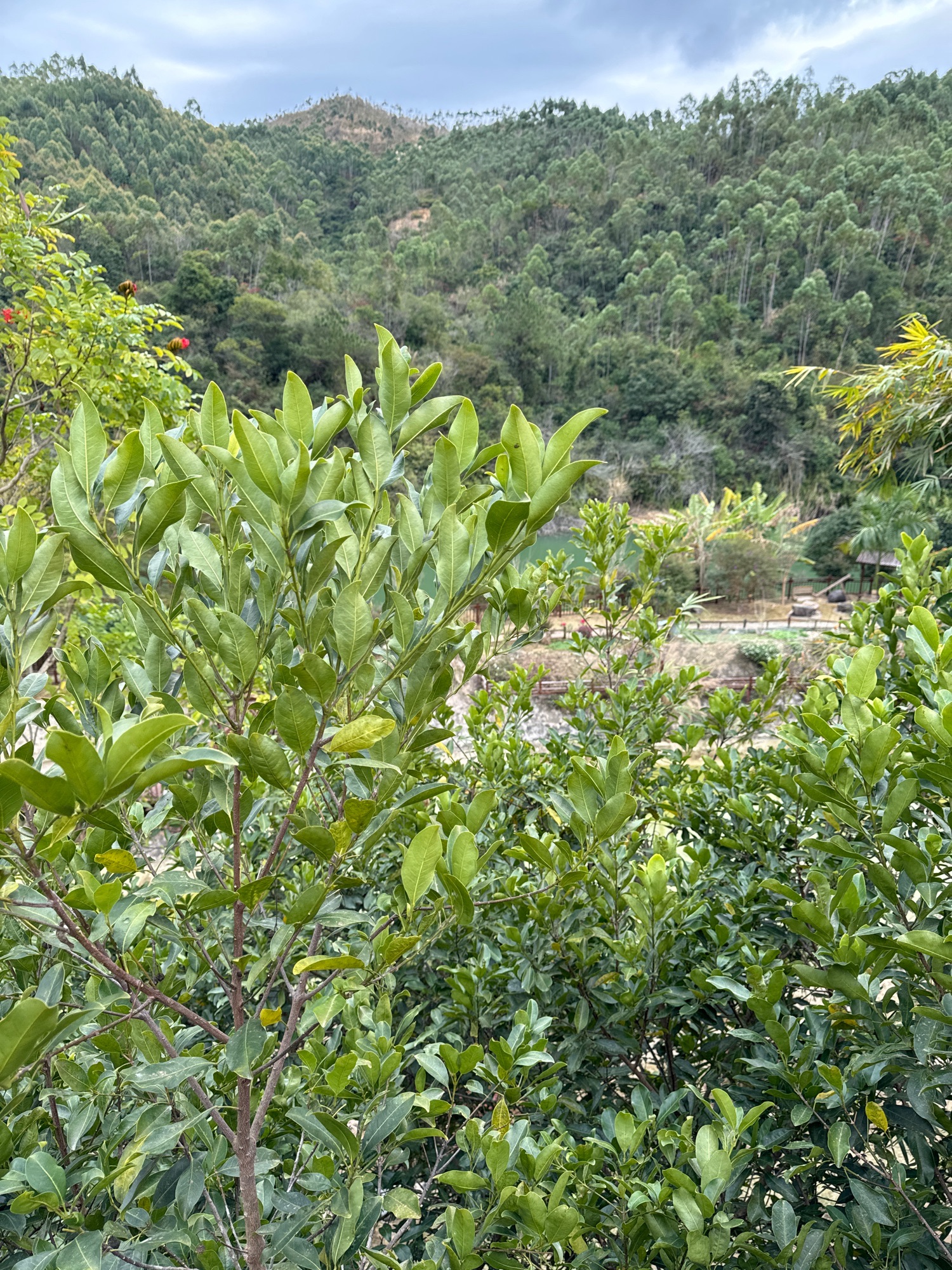 陂洋半月湾原生态景点旅行图片 2