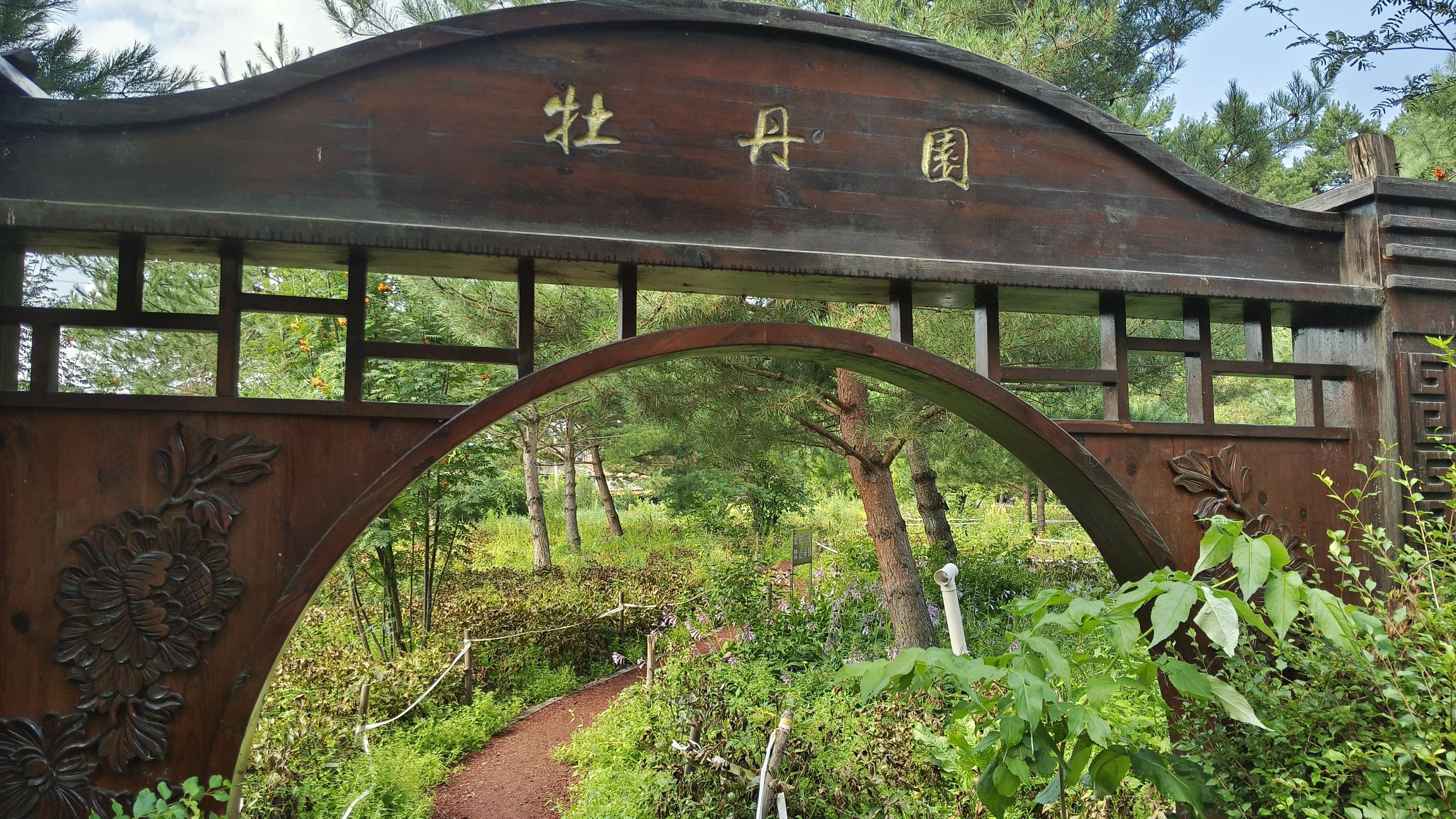 牡丹园公园