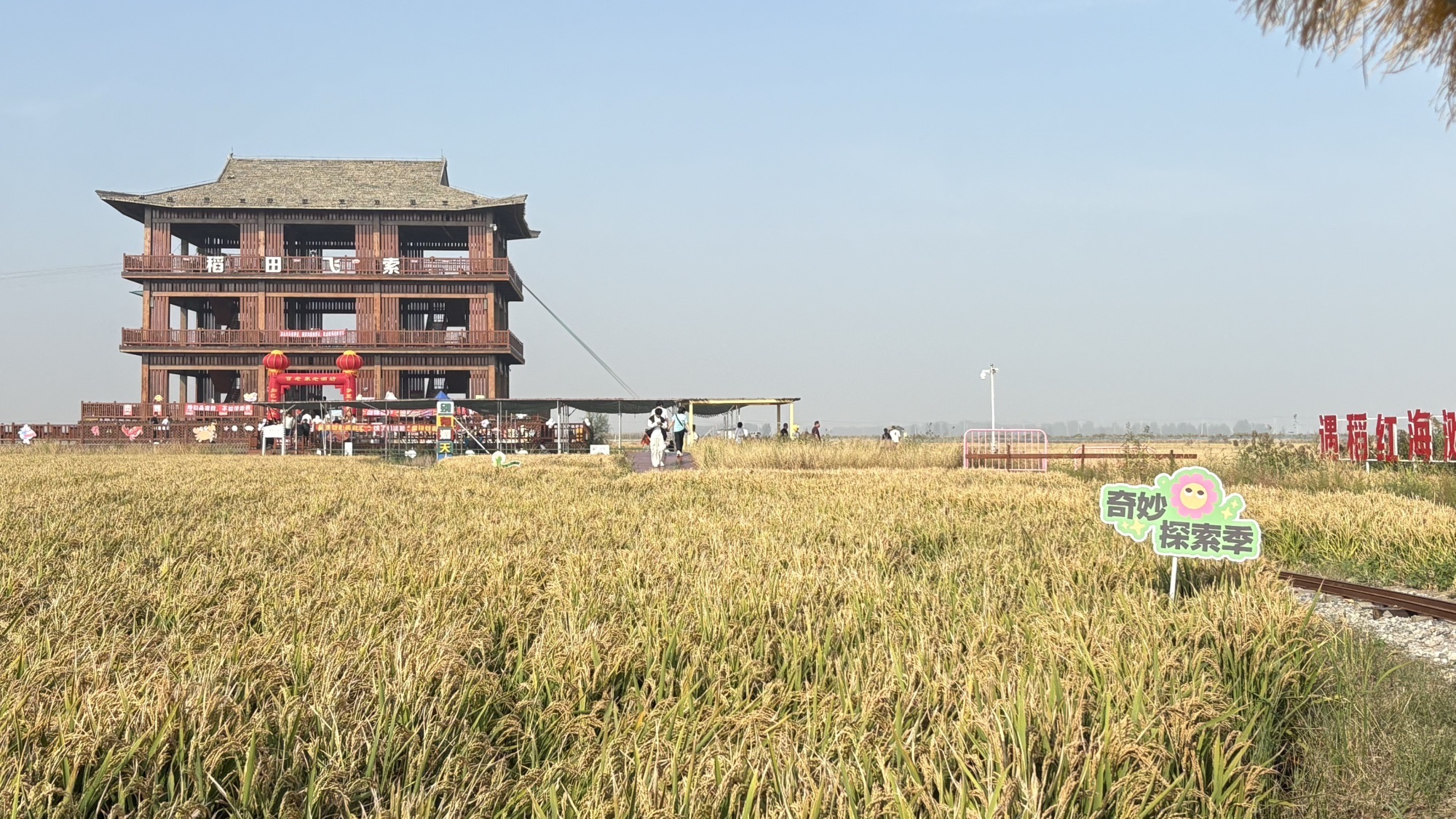 红海滩国家风景廊道旅行图片 1