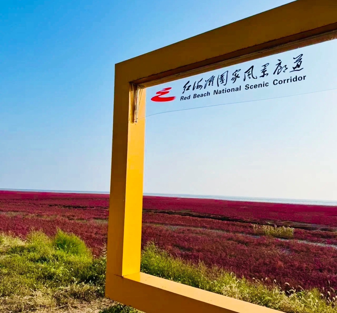 红海滩国家风景廊道旅行图片 2
