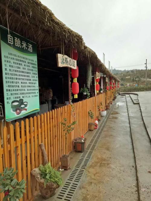 桂林国际茶花生态休闲旅游区旅行图片 2