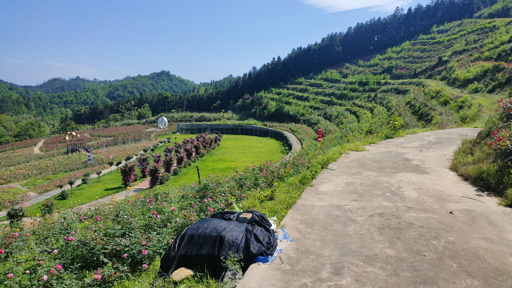 桂林国际茶花生态休闲旅游区旅行图片 3