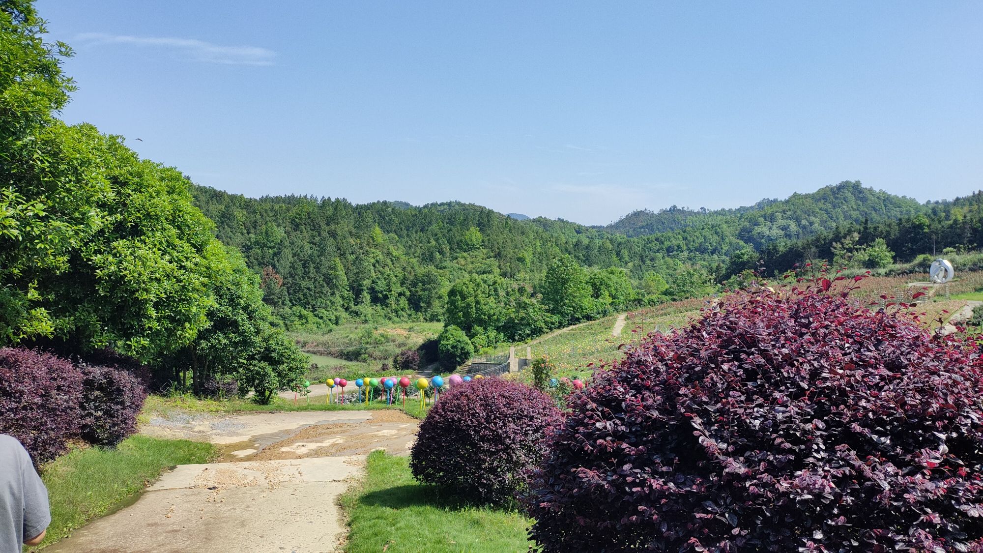 桂林国际茶花生态休闲旅游区旅行图片 1