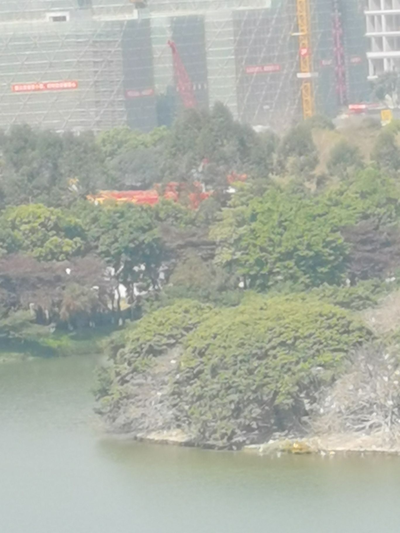 绿岛湖中心湖旅行图片 3