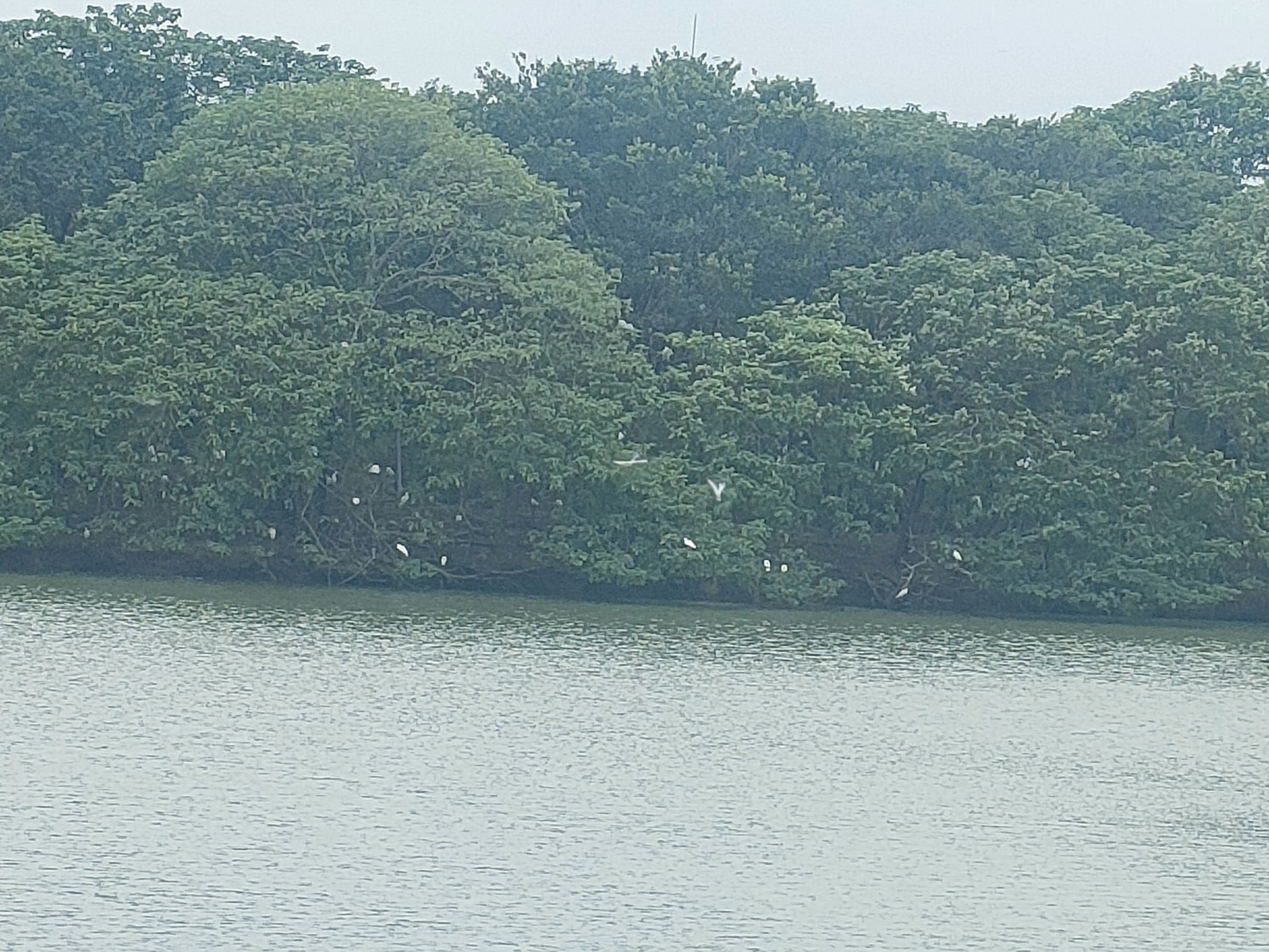 绿岛湖中心湖旅行图片 2