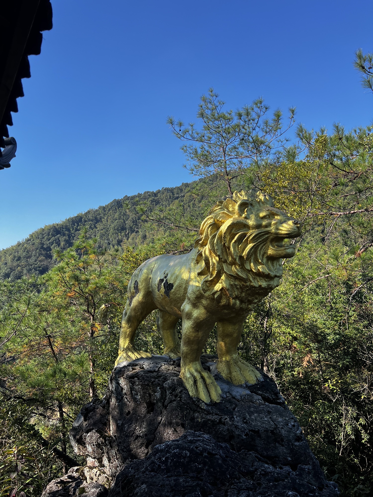 湖南狮子山森林公园旅行图片 1