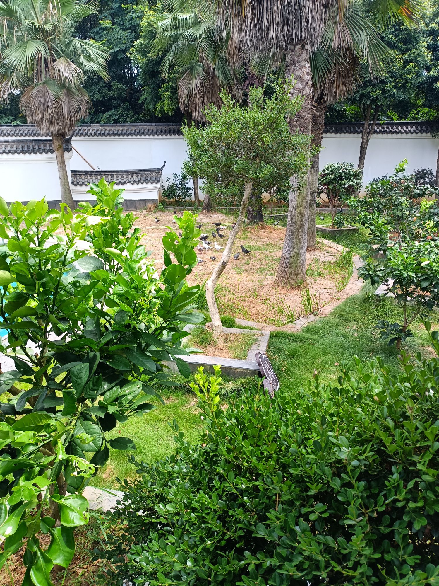 曹家大院旅行图片 3