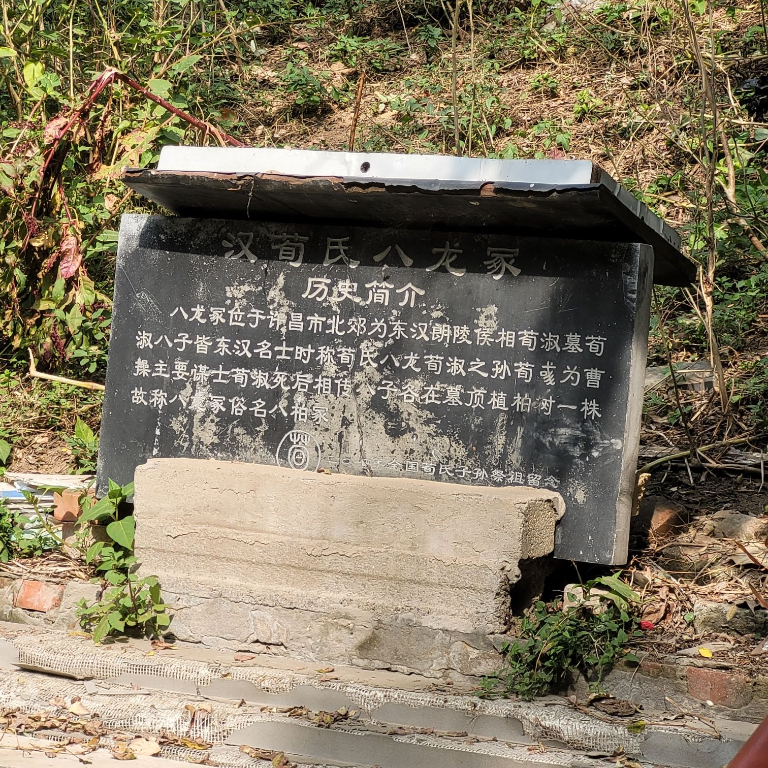 八龙冢旅行图片 1