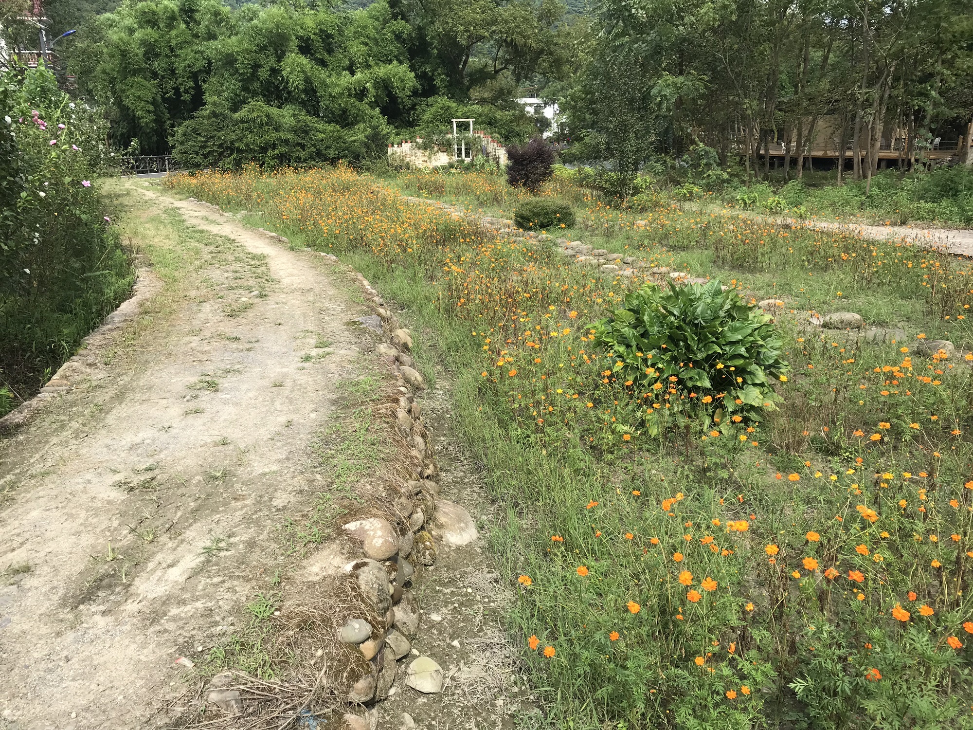 南溪花海旅行图片 3