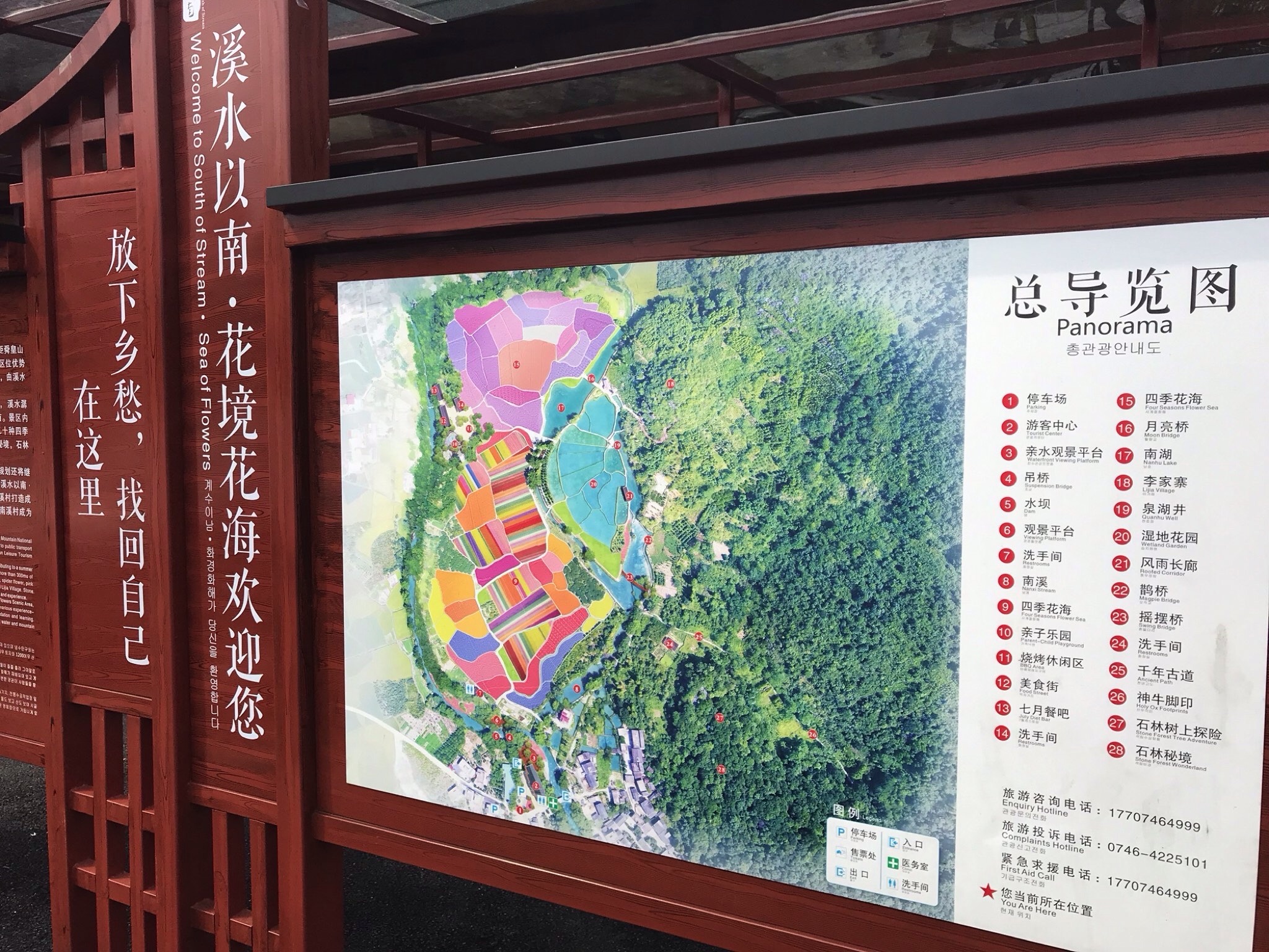 南溪花海旅行图片 1
