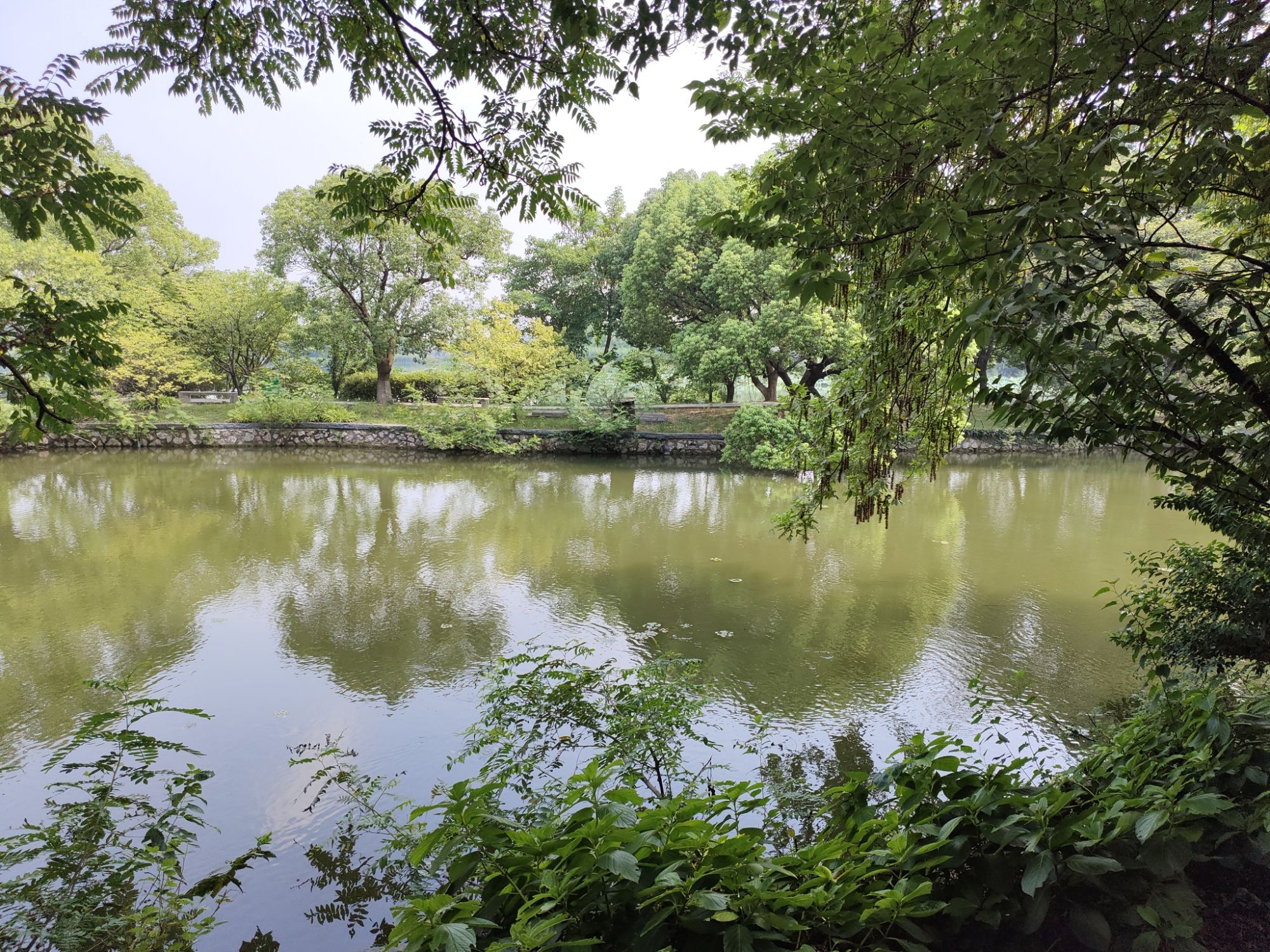 金山公园-湖山