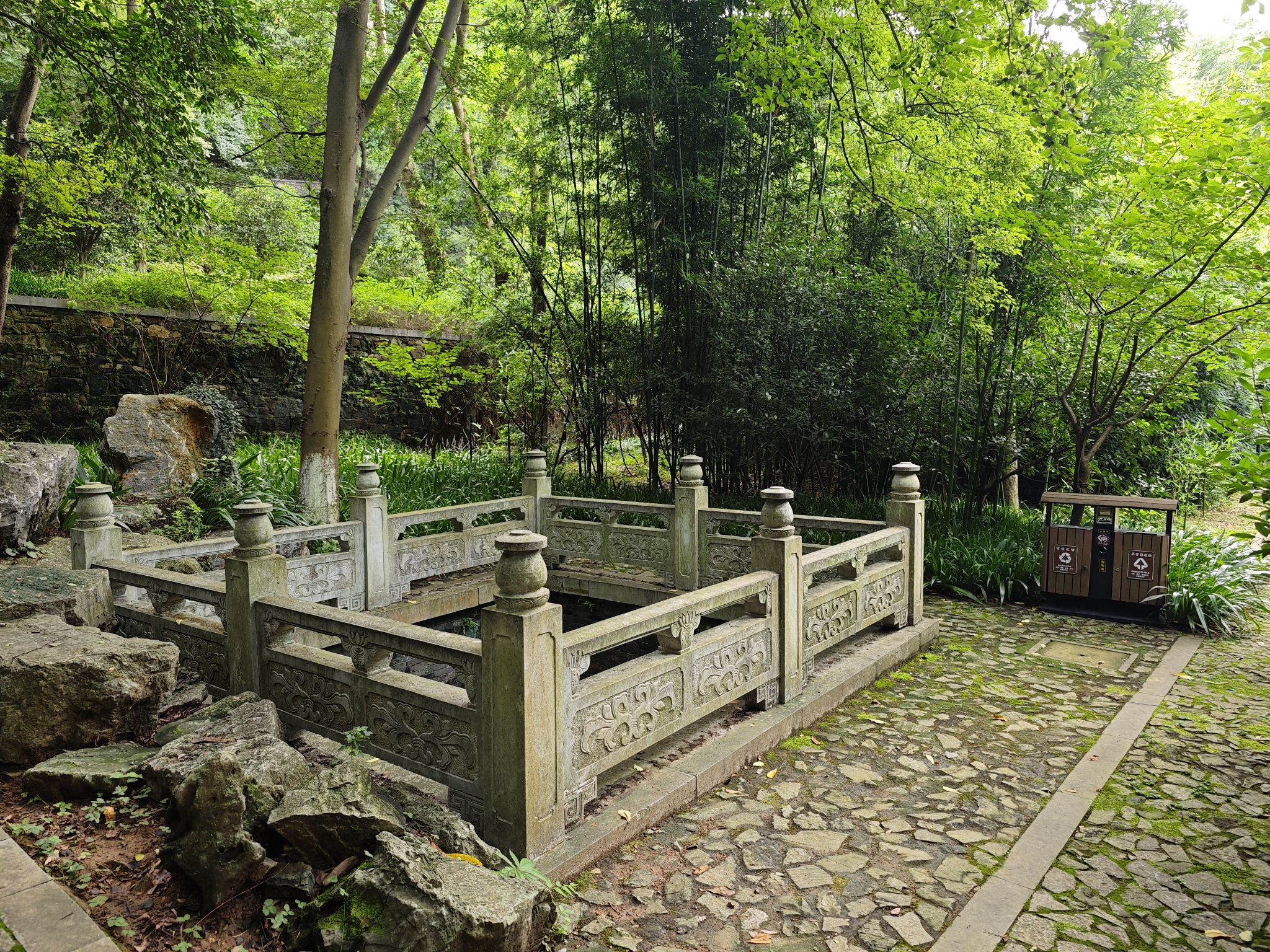 南山风景区南山竹林景区-莲池