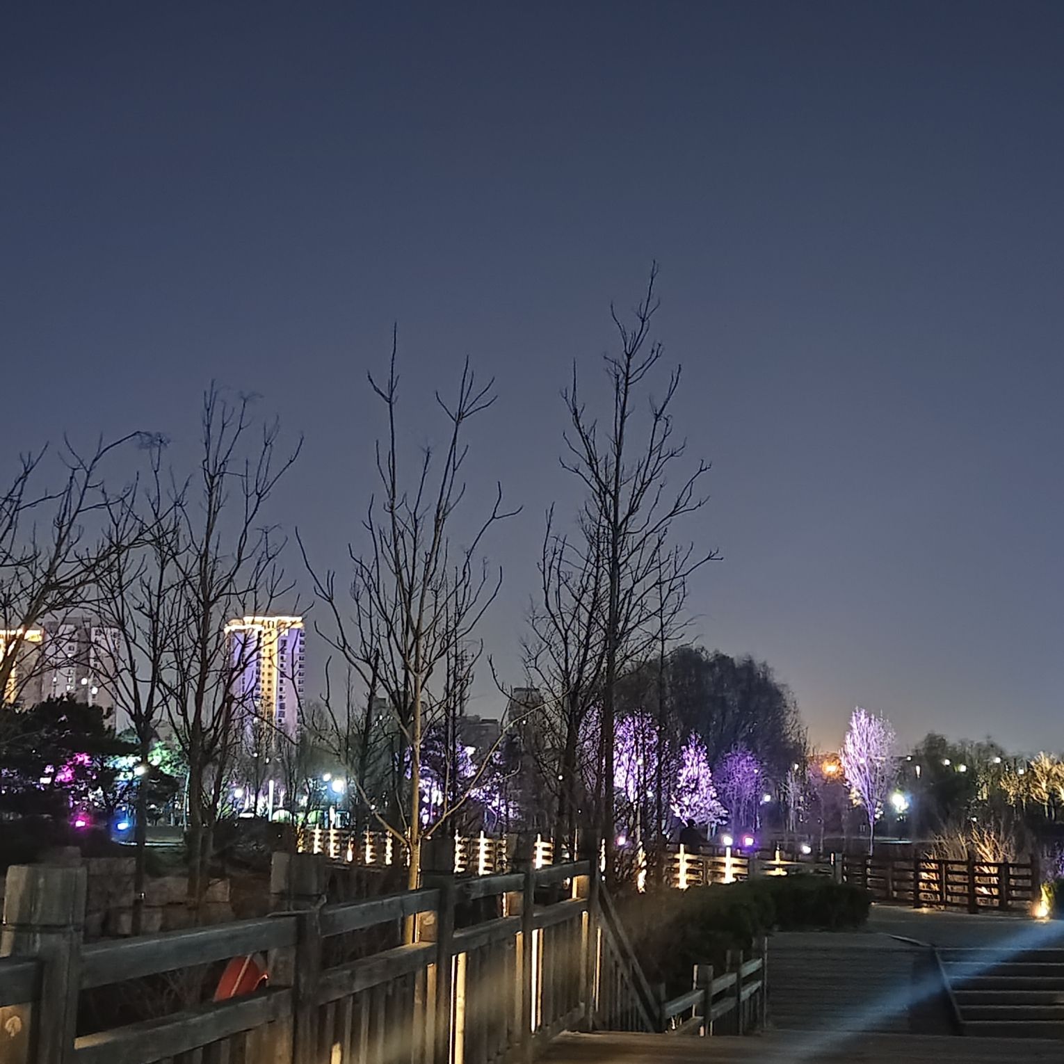锦华公园旅行图片 2