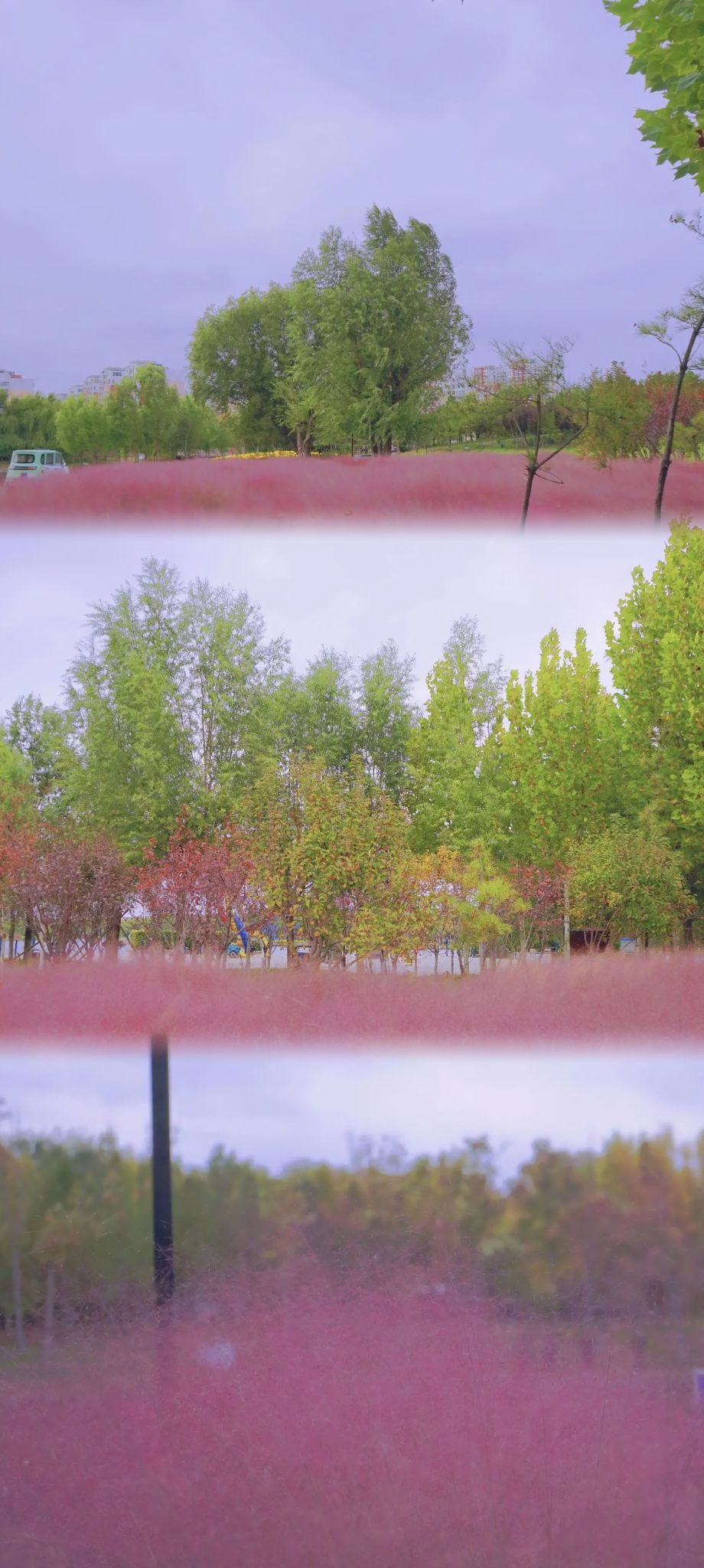 锦华公园旅行图片 2