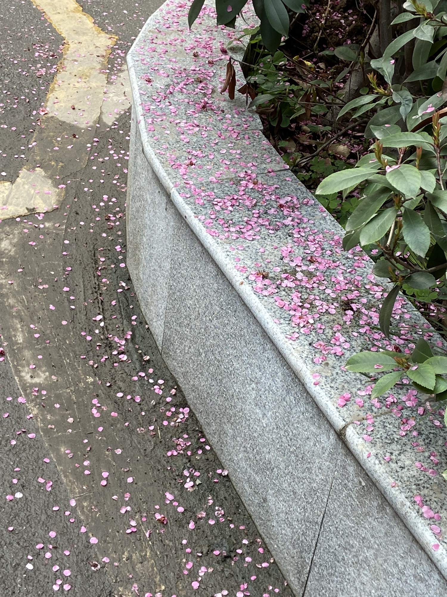 官塘湖公园旅行图片 1