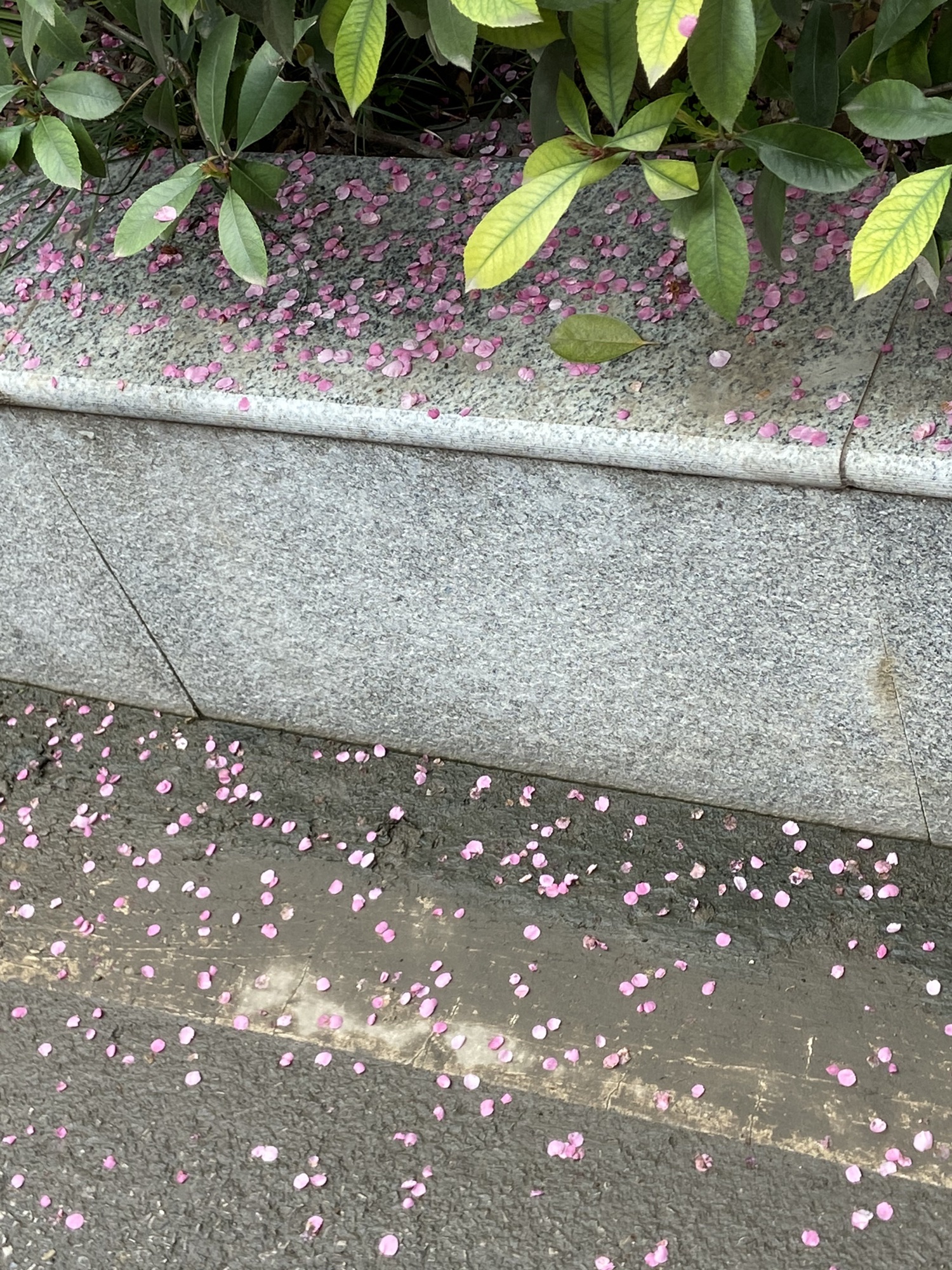 官塘湖公园旅行图片 2