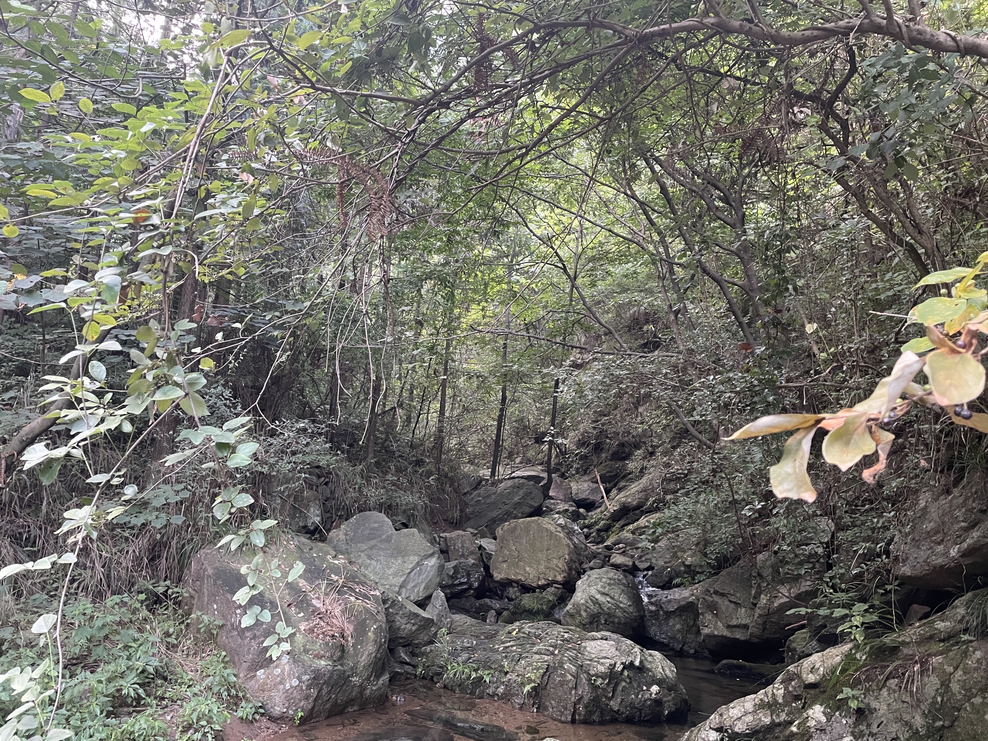 石关风景区旅行图片 1
