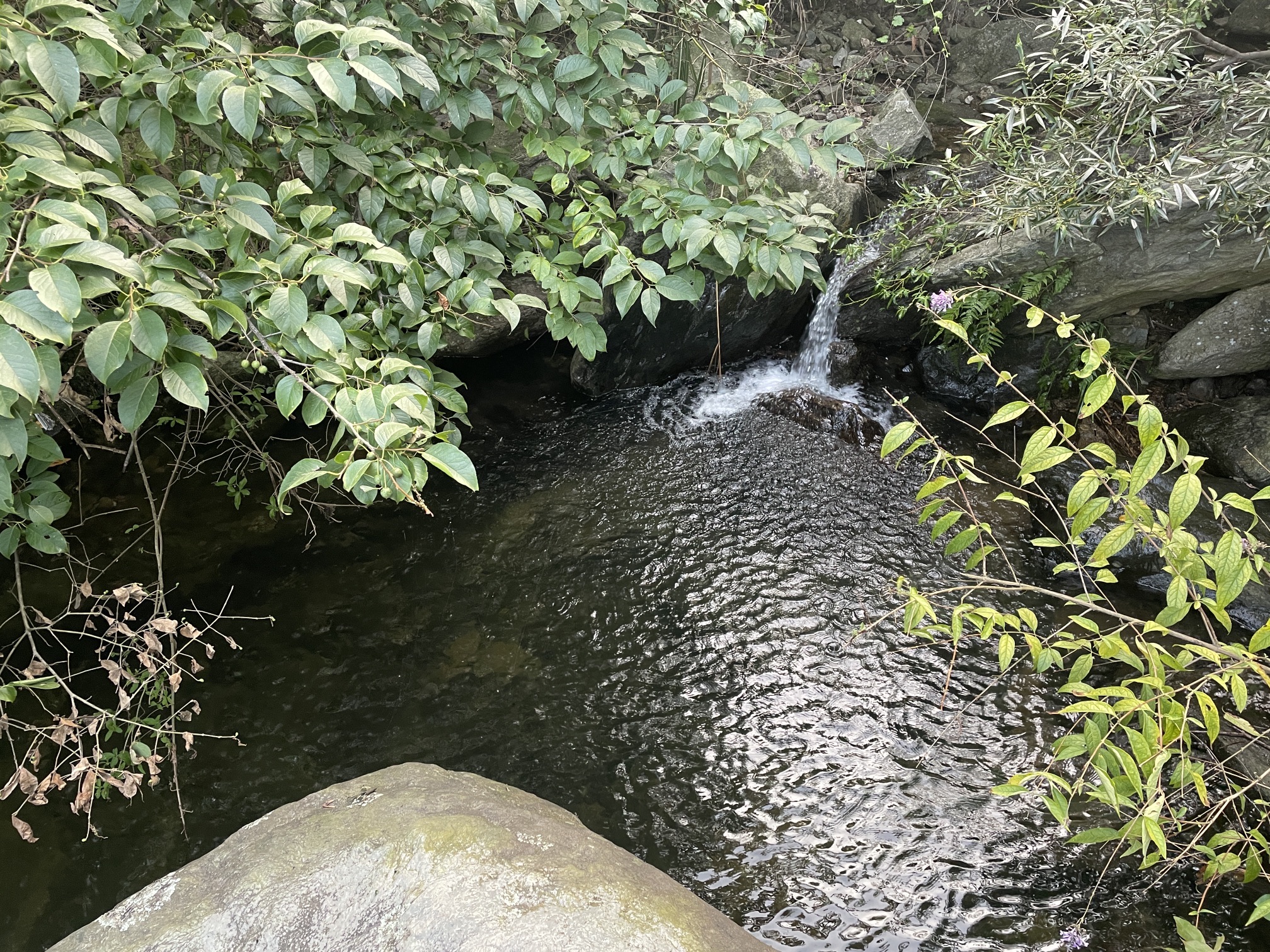 石关风景区旅行图片 3
