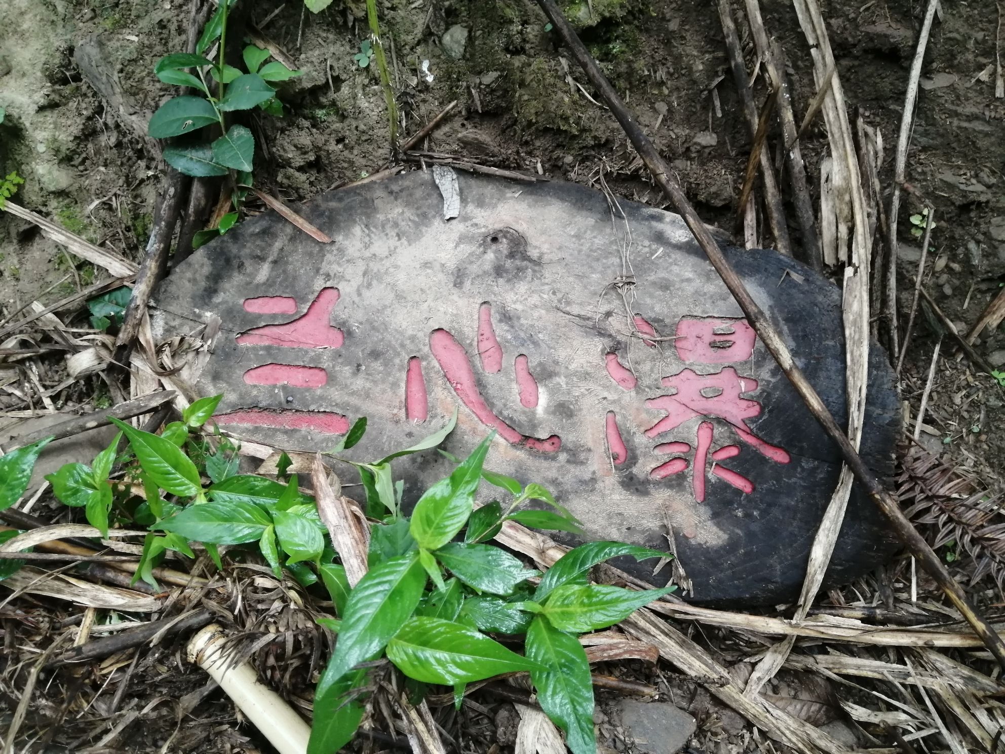 石关风景区旅行图片 2