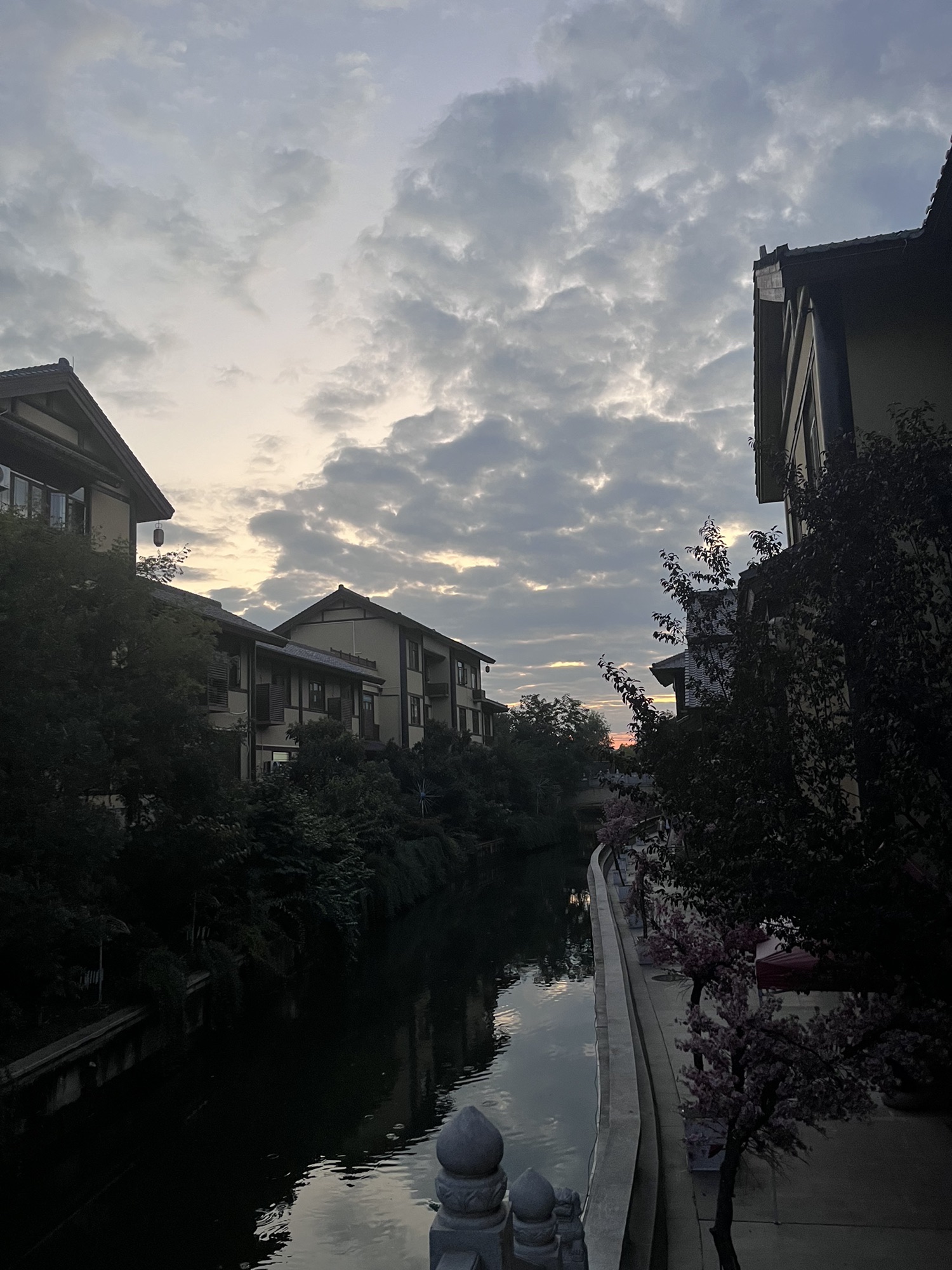 仲景养生小镇旅行图片 2