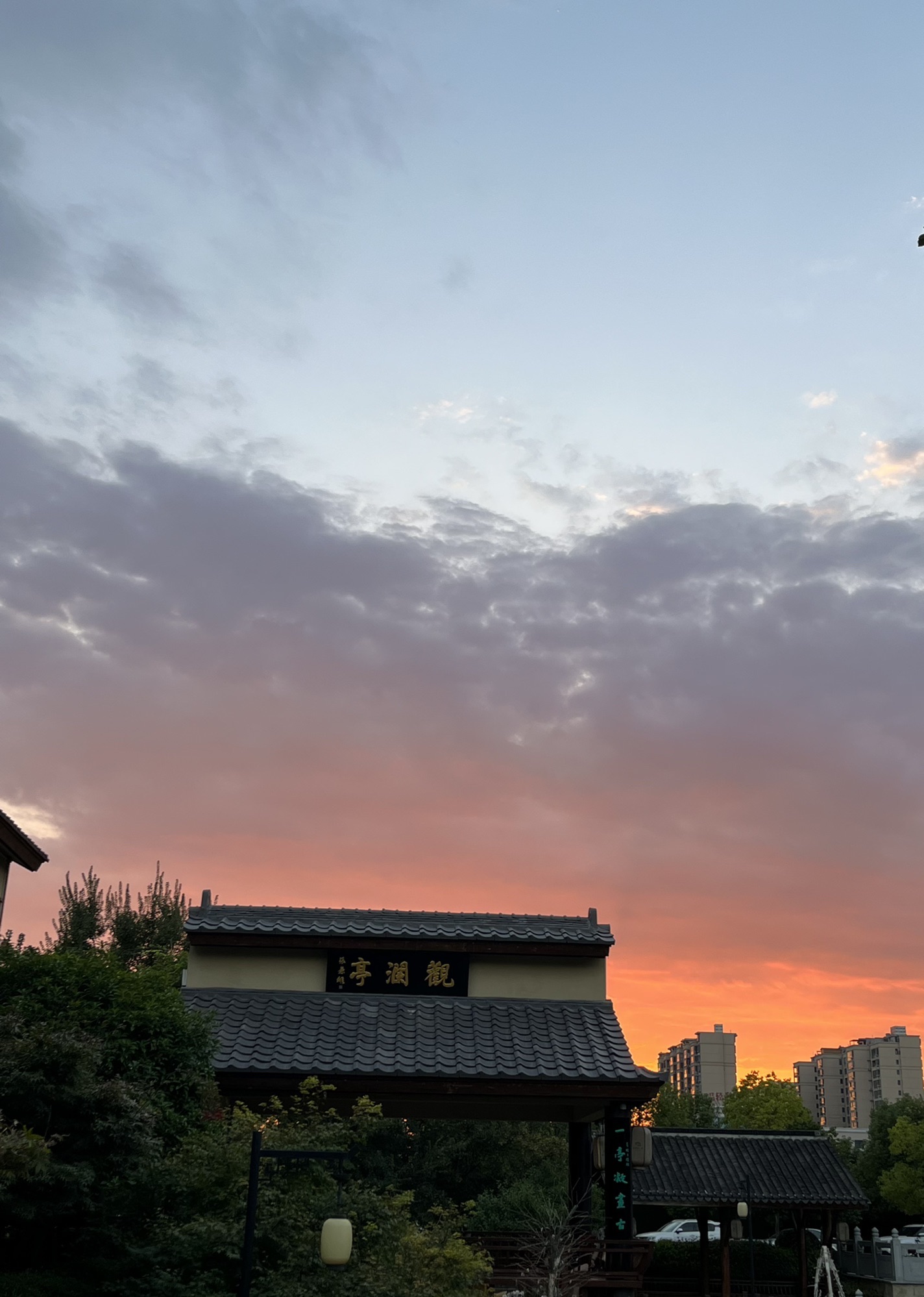 仲景养生小镇旅行图片 3