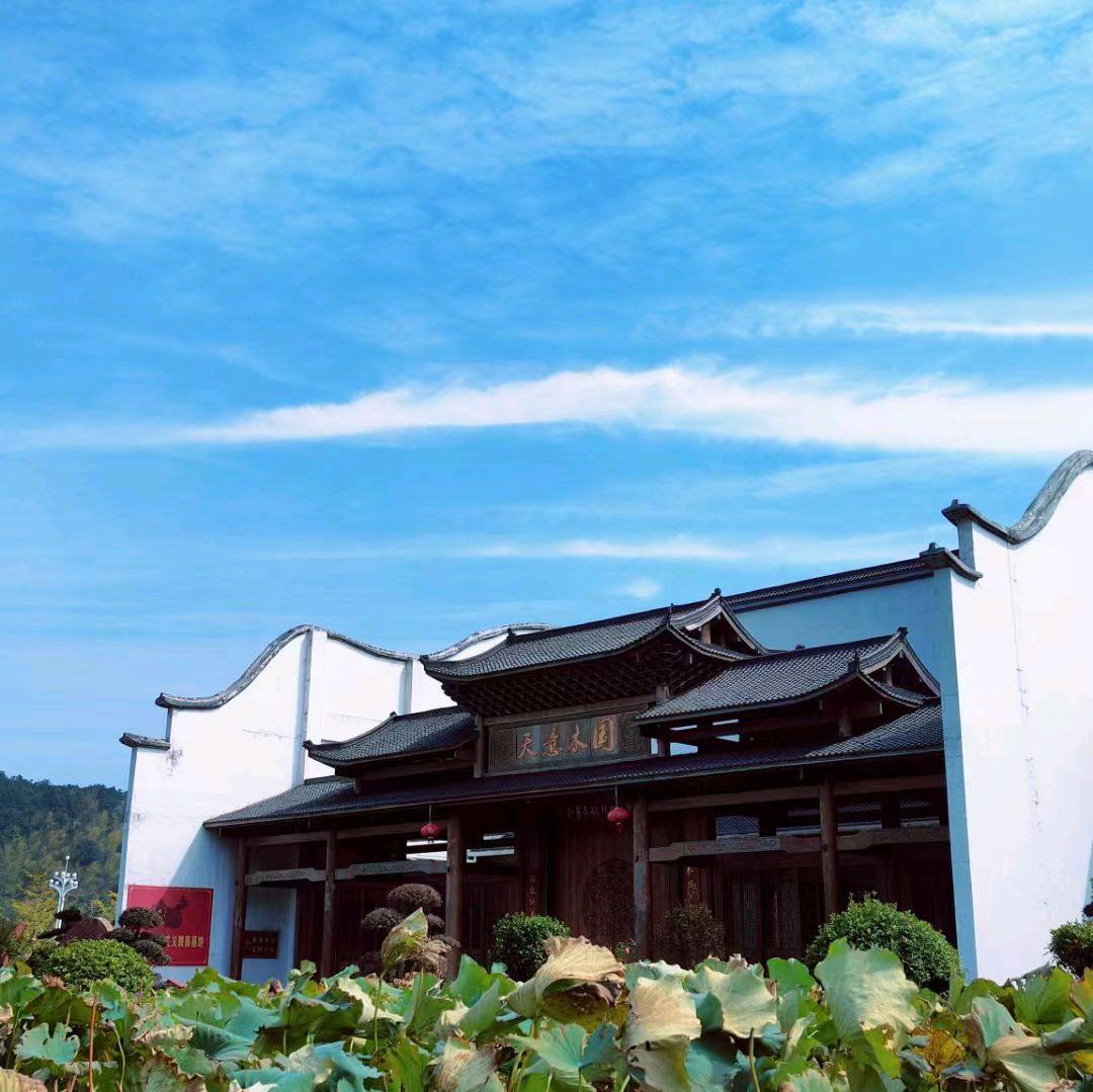宇艺木国旅行图片 3