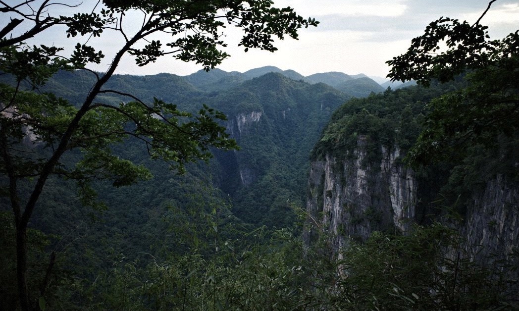 金龙苗寨风景区旅行图片 1