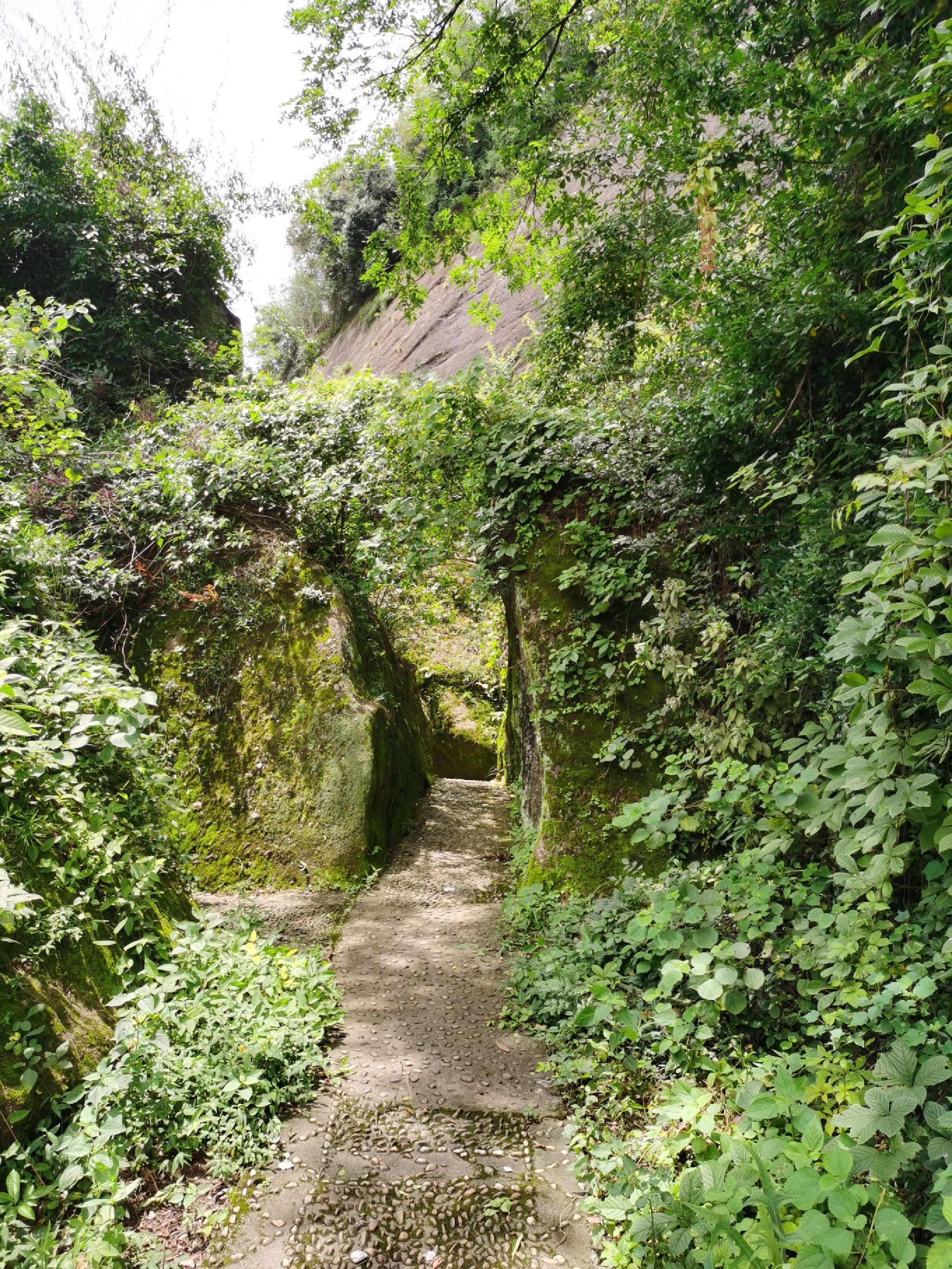 一线天风景区旅行图片 3