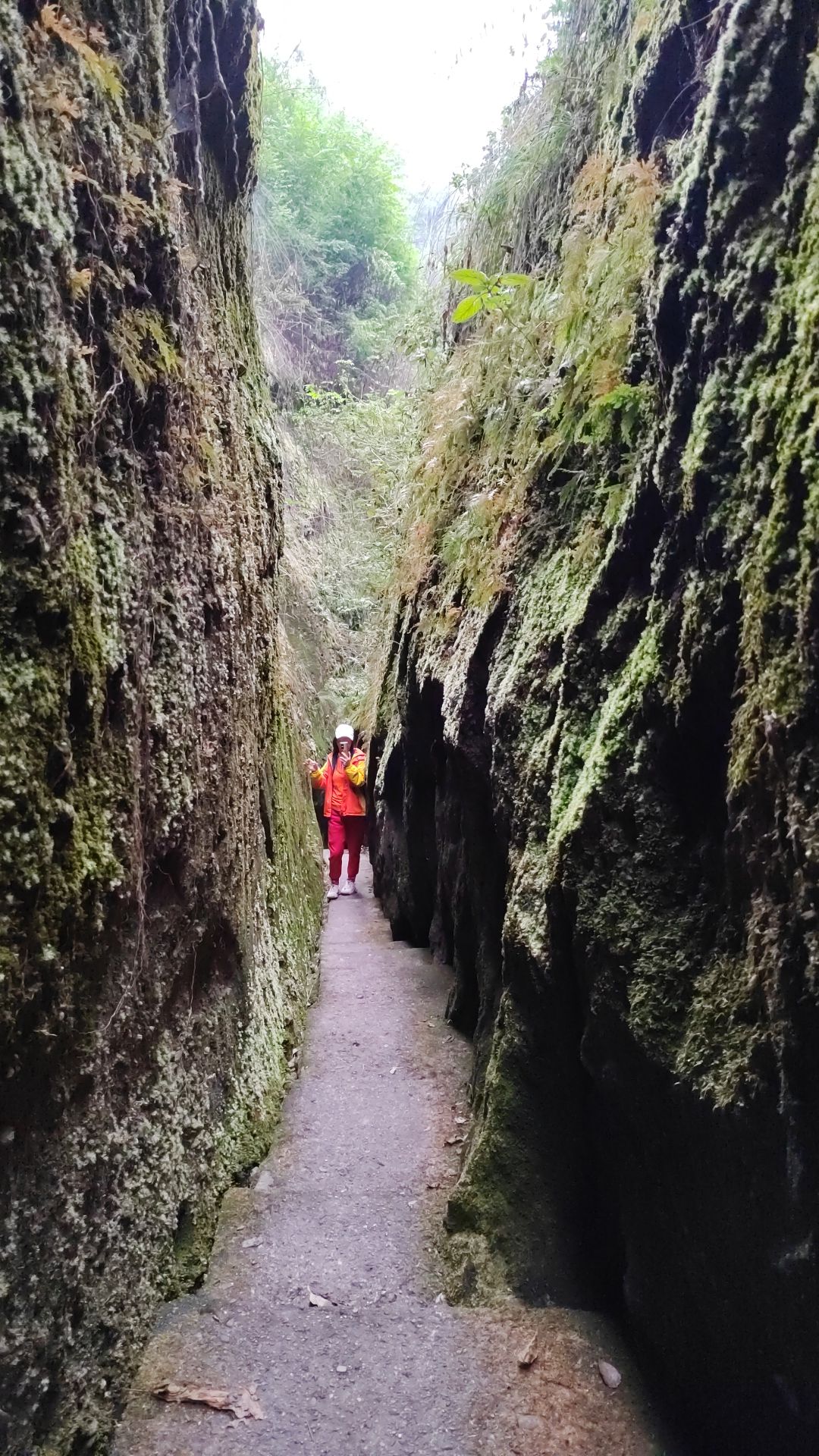 一线天风景区旅行图片 1