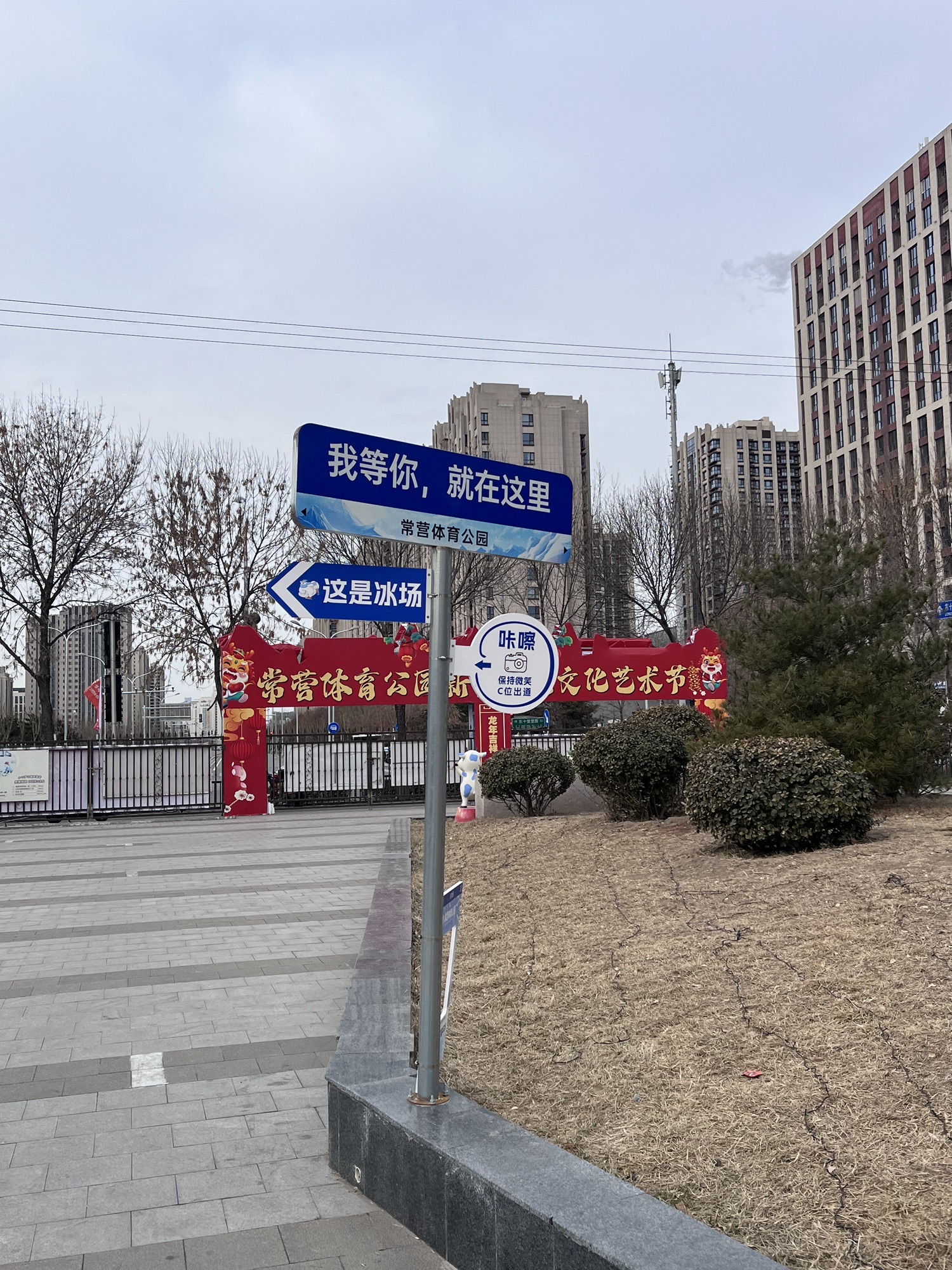 常营体育公园旅行图片 3