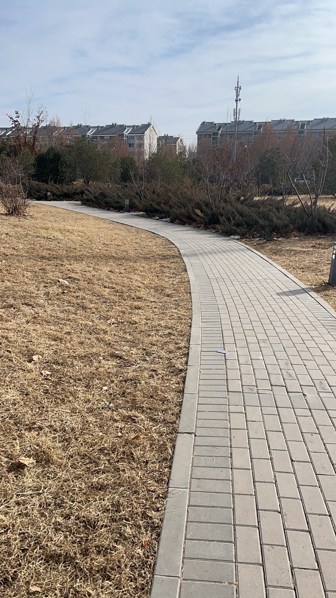 常营体育公园旅行图片 2