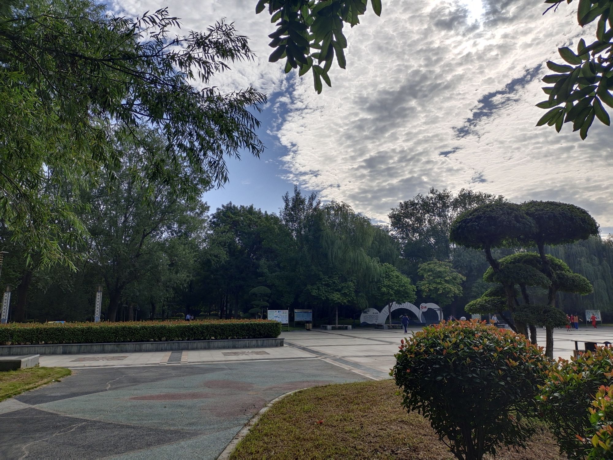 百卉公园旅行图片
