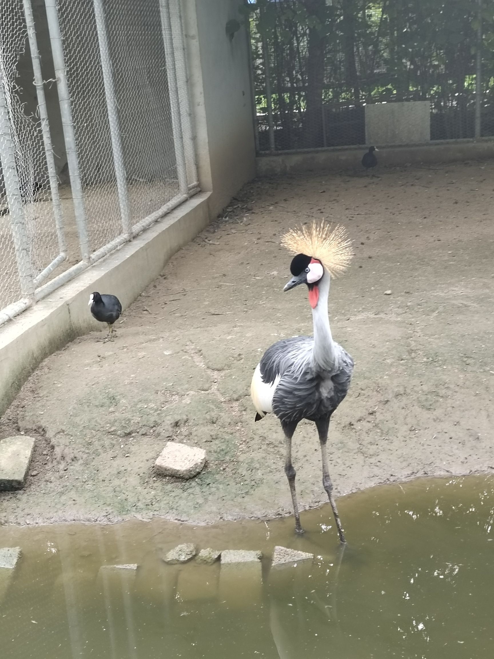 定州市动物园旅行图片 3