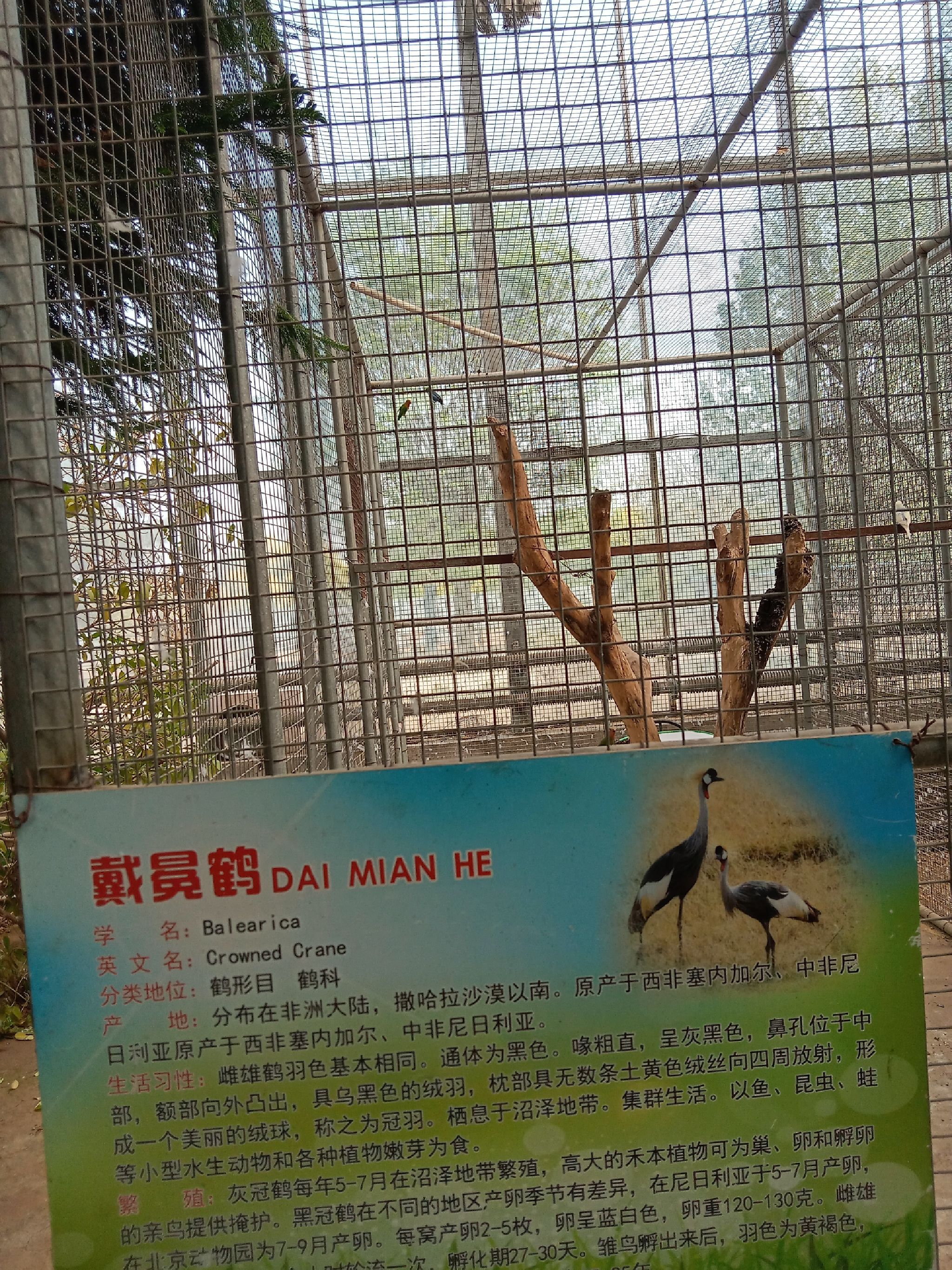 定州市动物园旅行图片 1