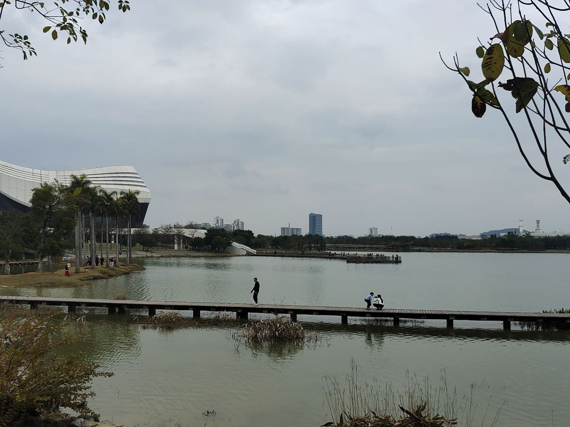 龙湖公园旅行图片 1