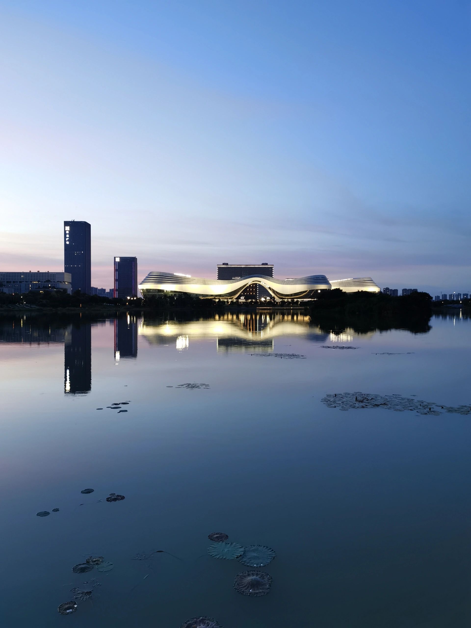 龙湖公园旅行图片 1