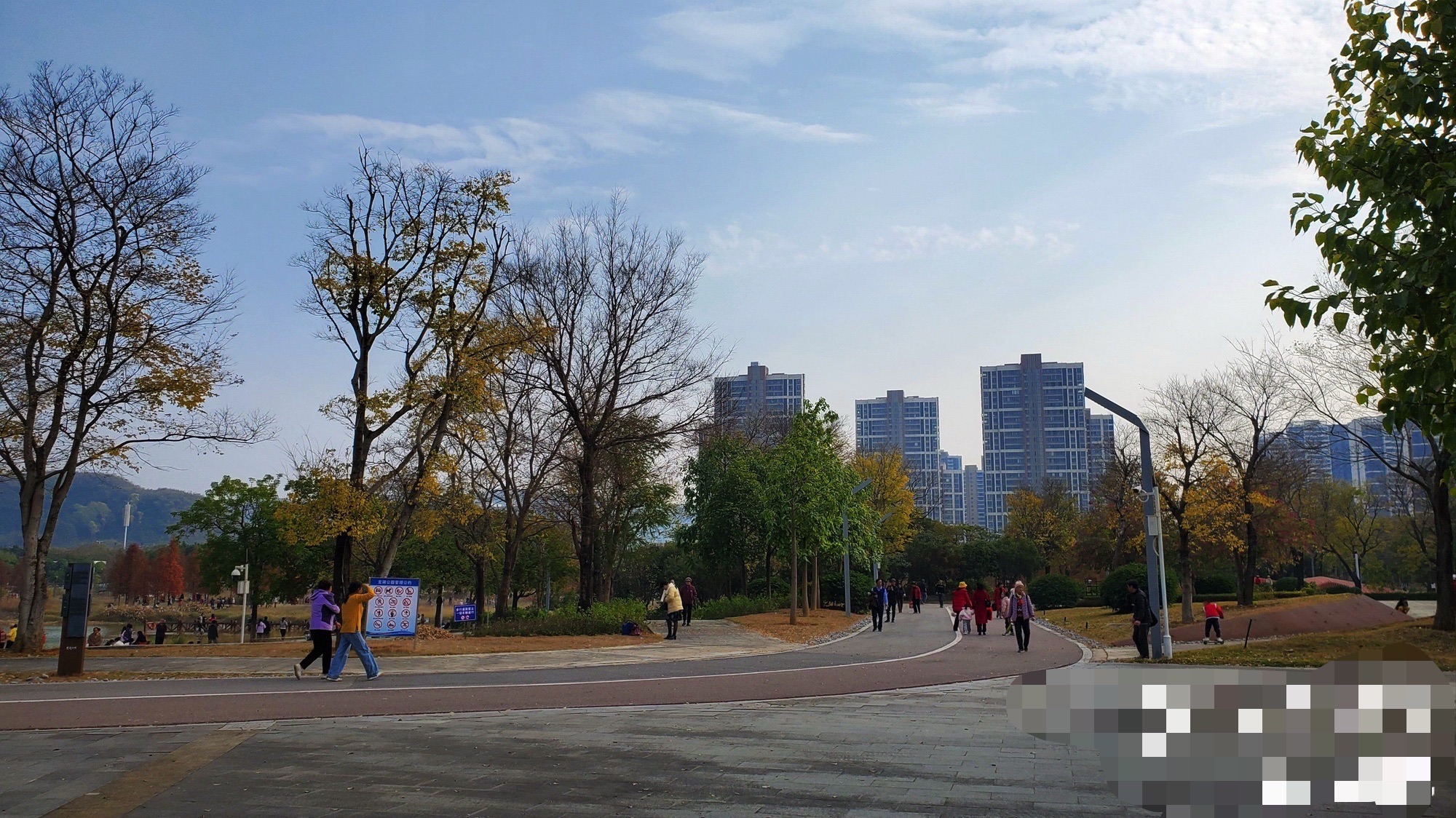 龙湖公园旅行图片 3