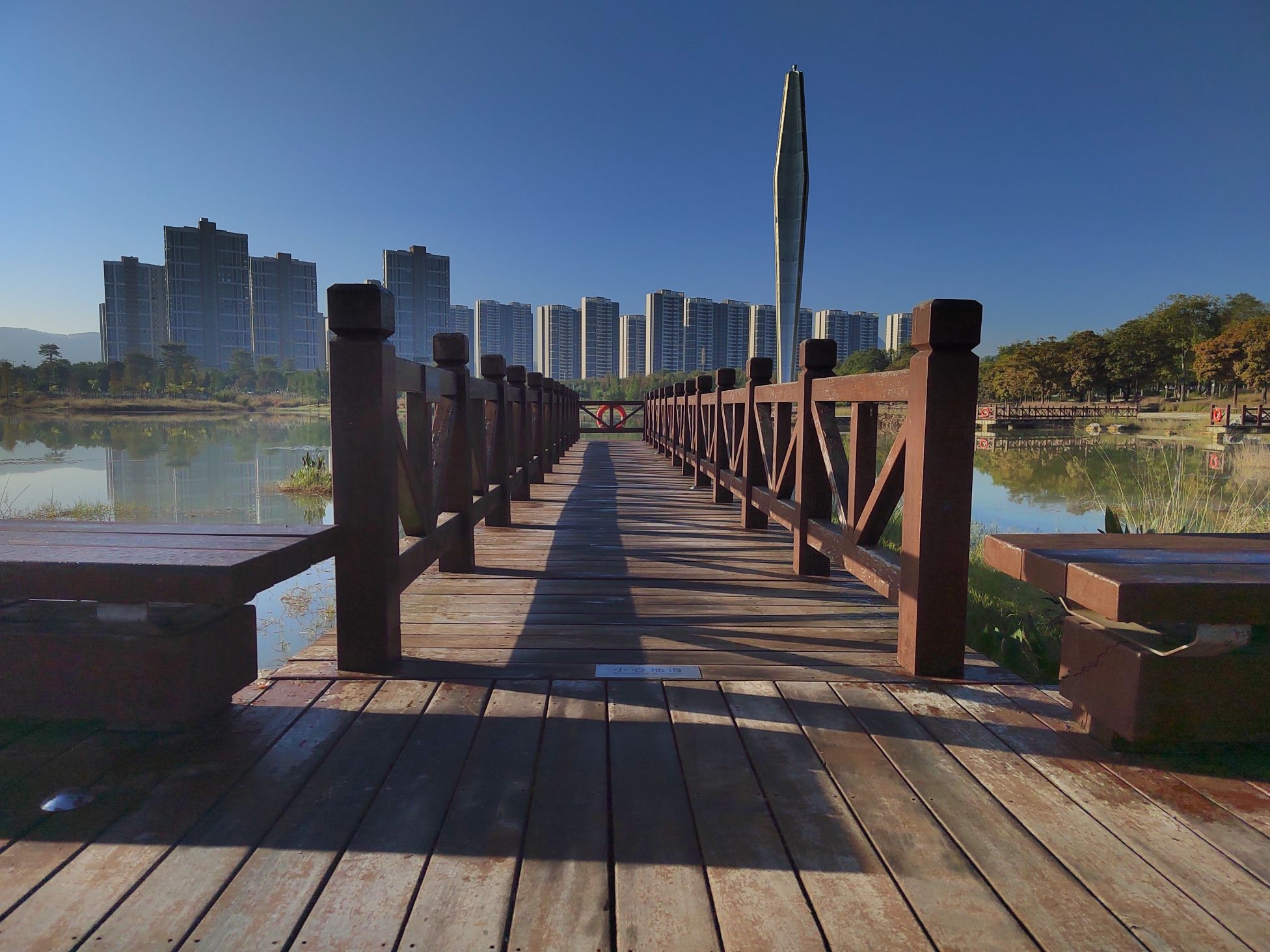 龙湖公园旅行图片 3